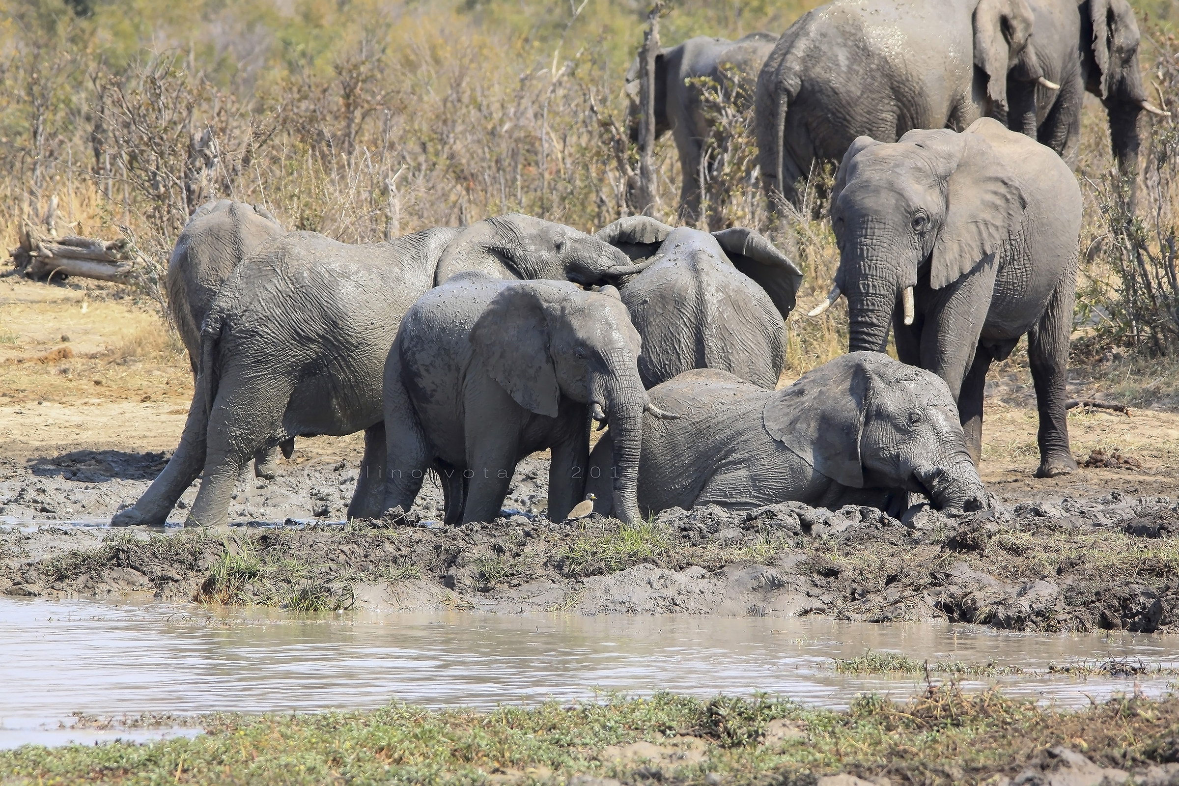 And now ......... bathroom - Botswana