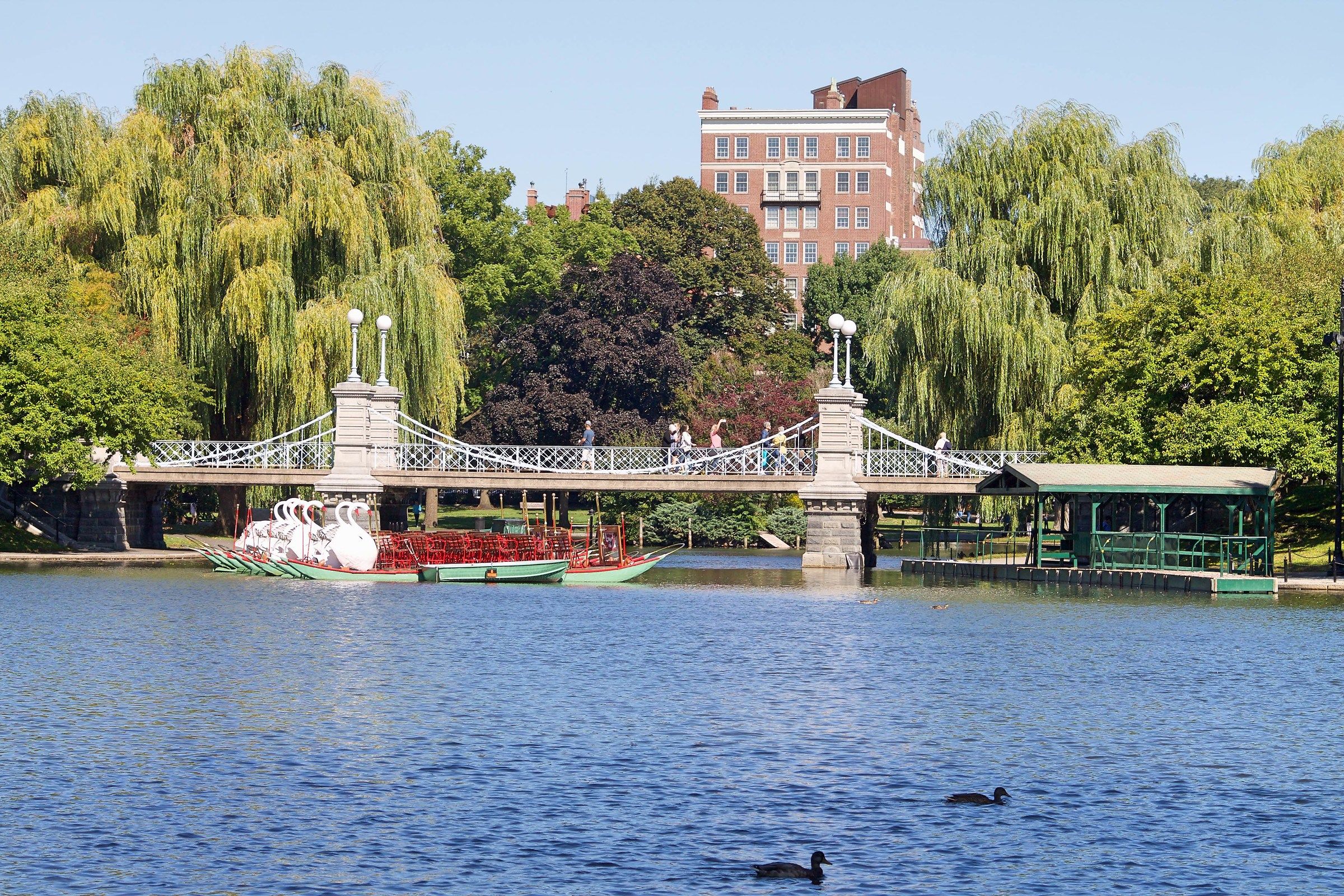 Boston public garden