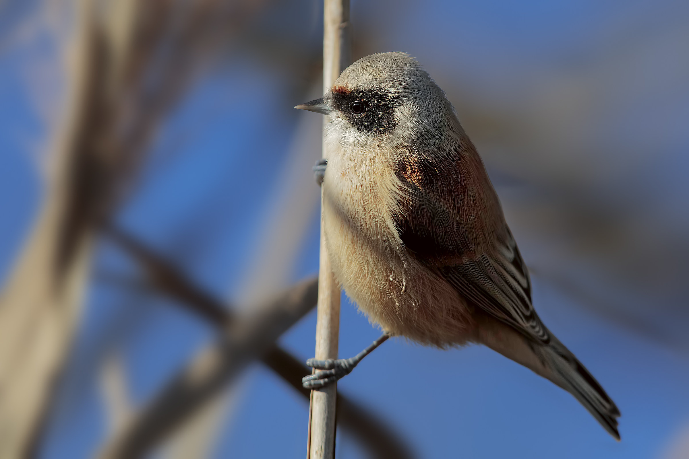 tra luci ombre e colori....