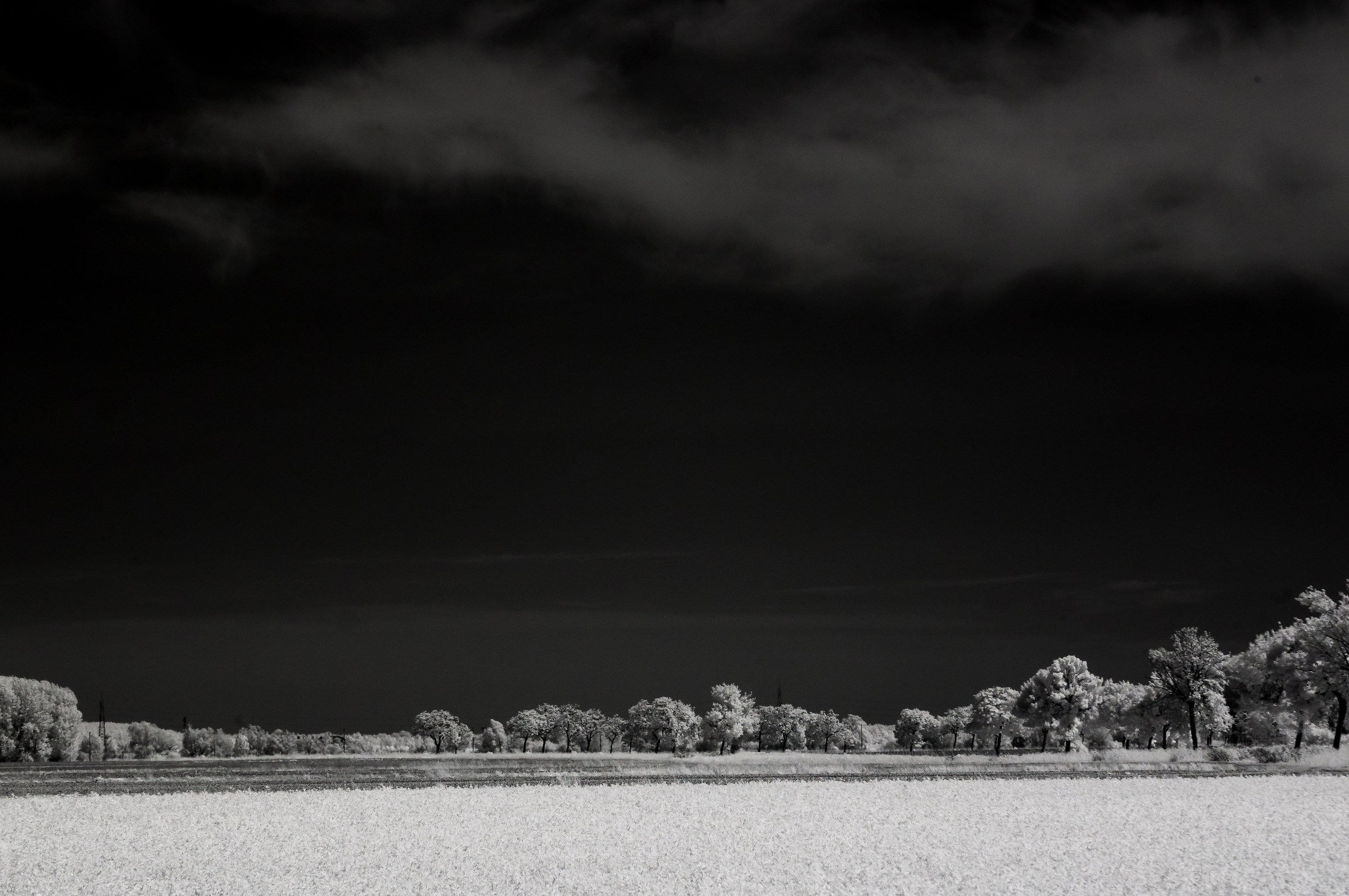 inspired by Elio Ciol