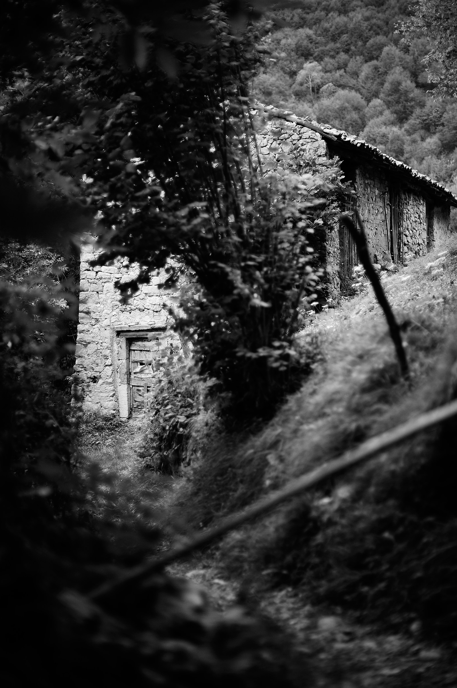 Catremerio da scoprire1