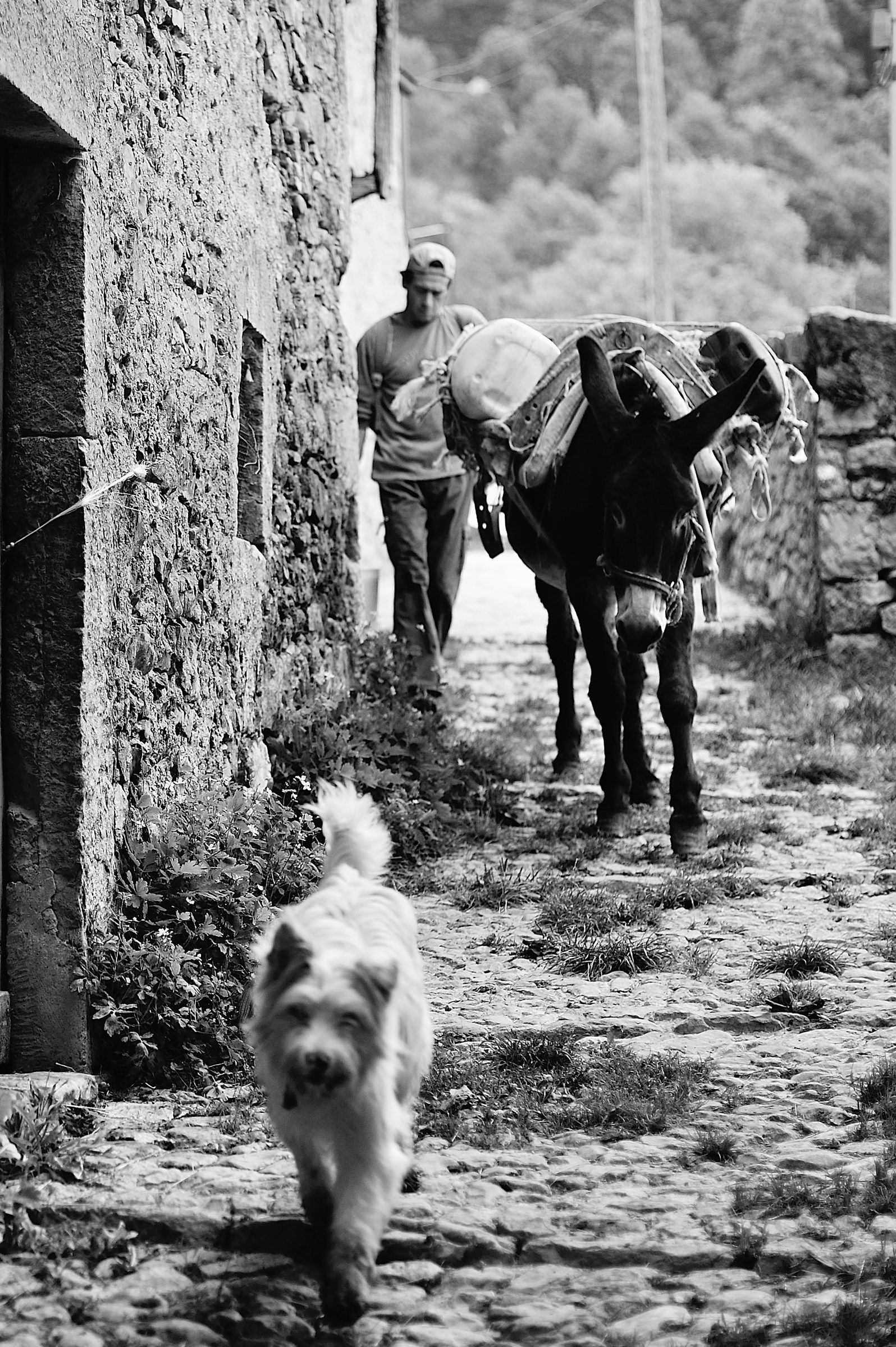 Catremerio da scoprire3