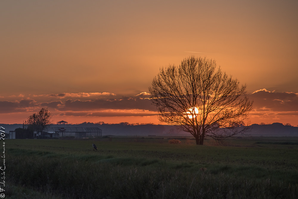 Tramonto di campagna