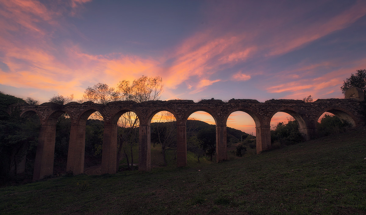 archi Campeggia marittima