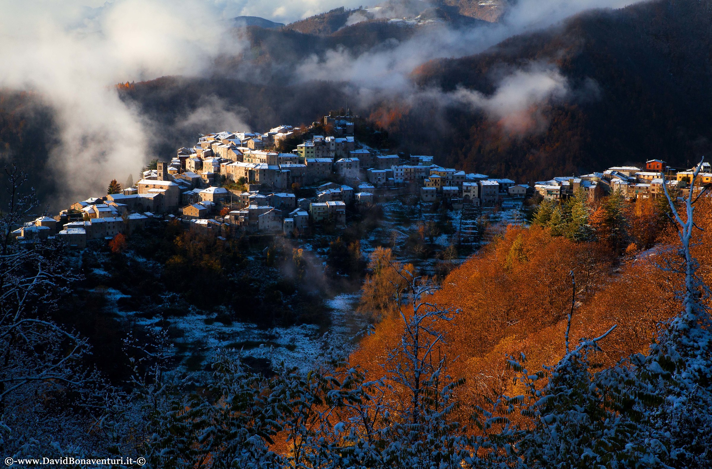 "The meeting between autumn and winter"