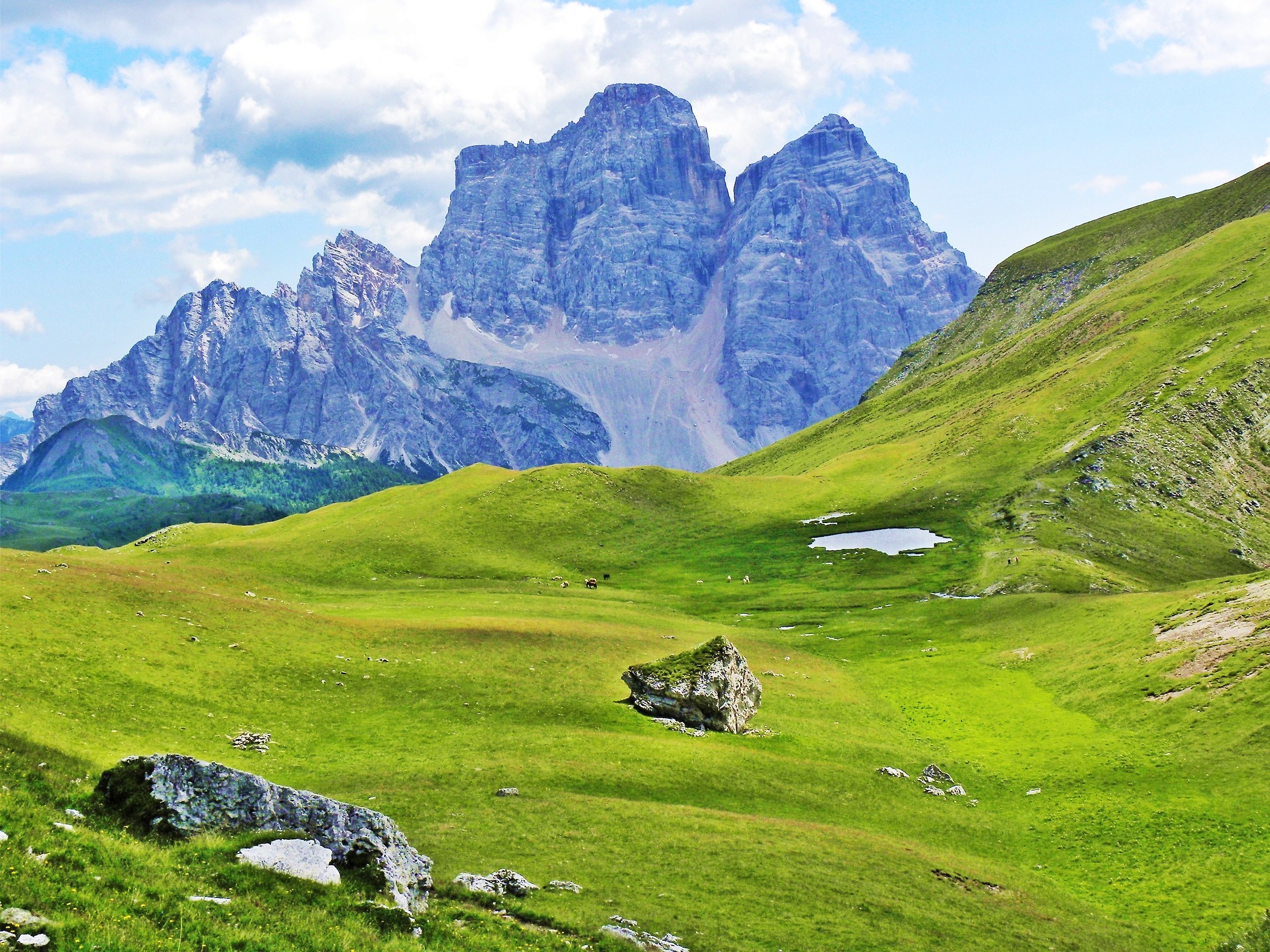3703 - Padre e Figlio, in basso lo Spirito Santo