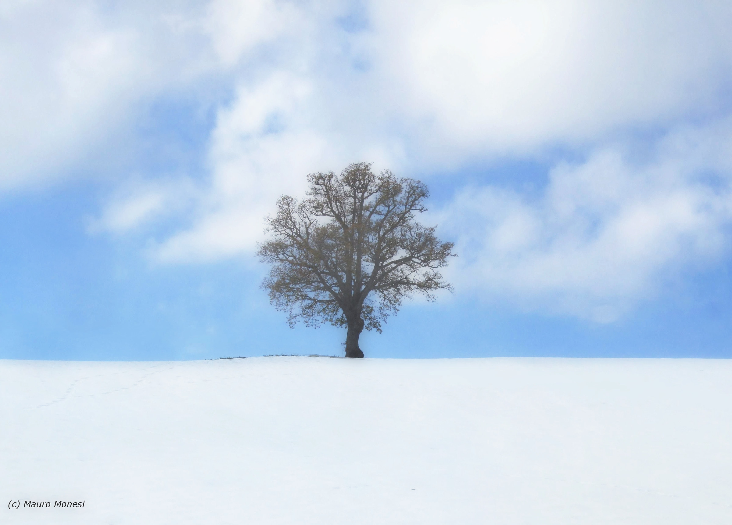 Il solitario.... minimal