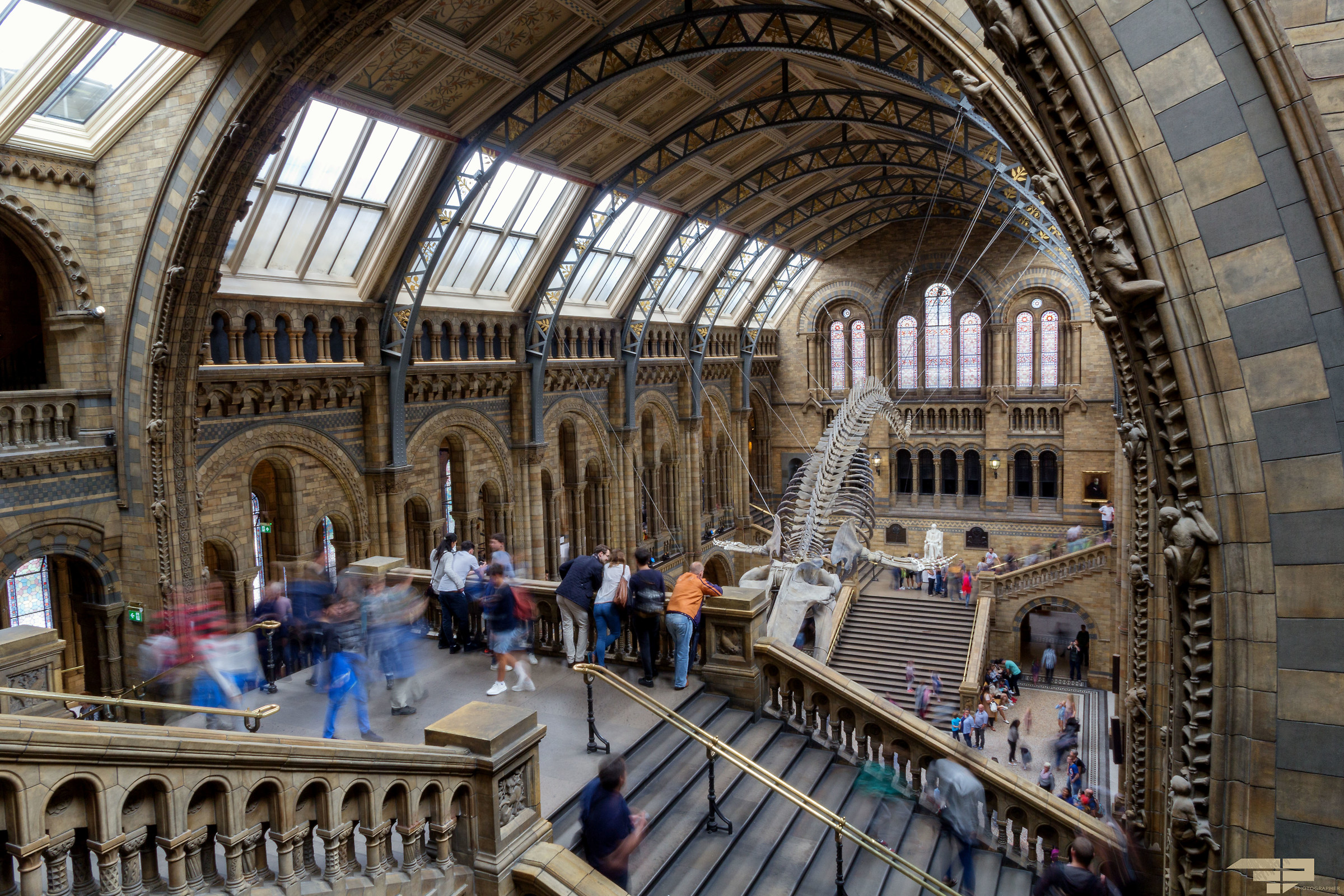Inside the Natural History Museum