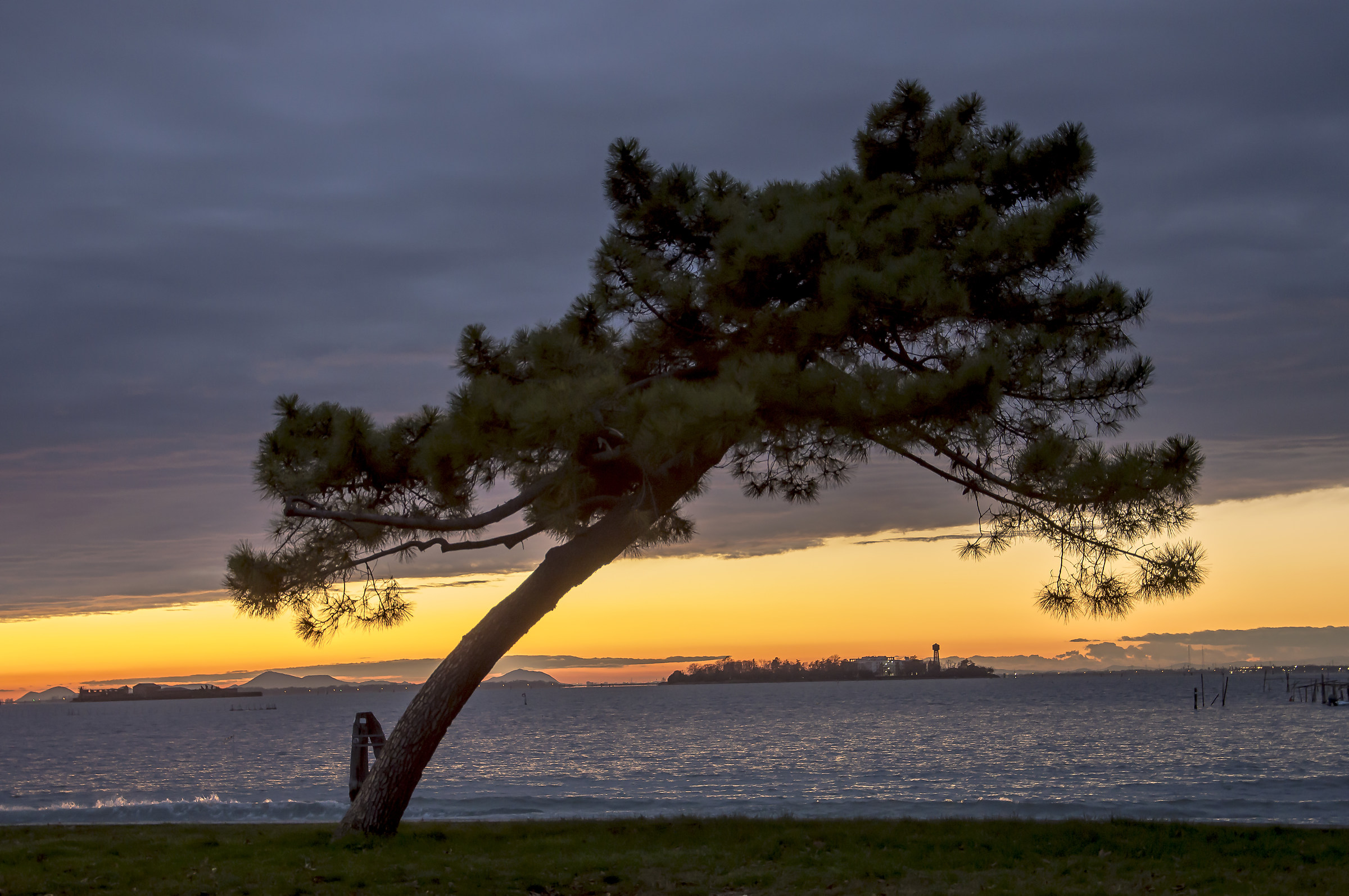 November on the shore