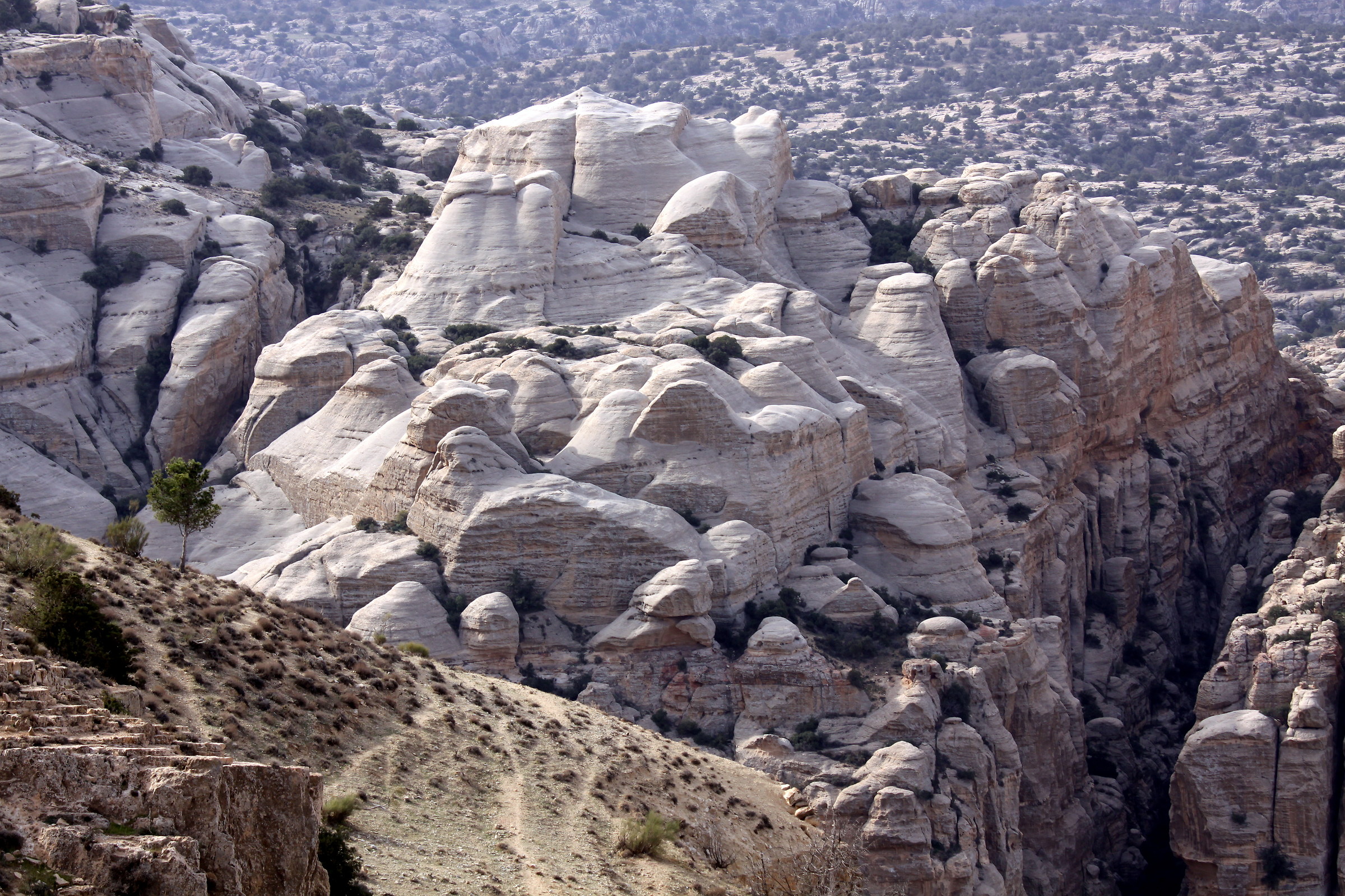 3760-Dana-Biosfera Unesco Nature Reserve