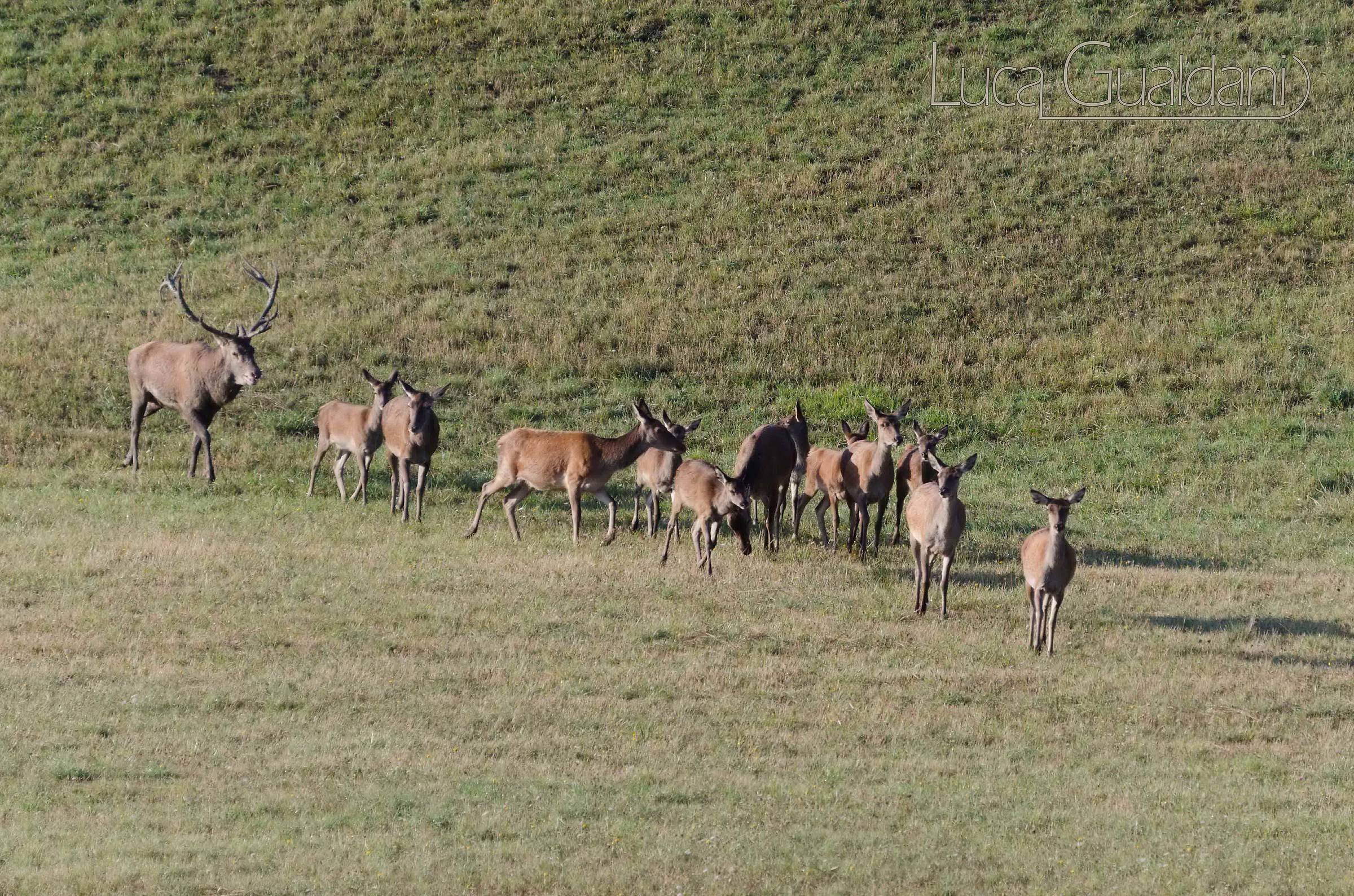 Woe to those who lose .........