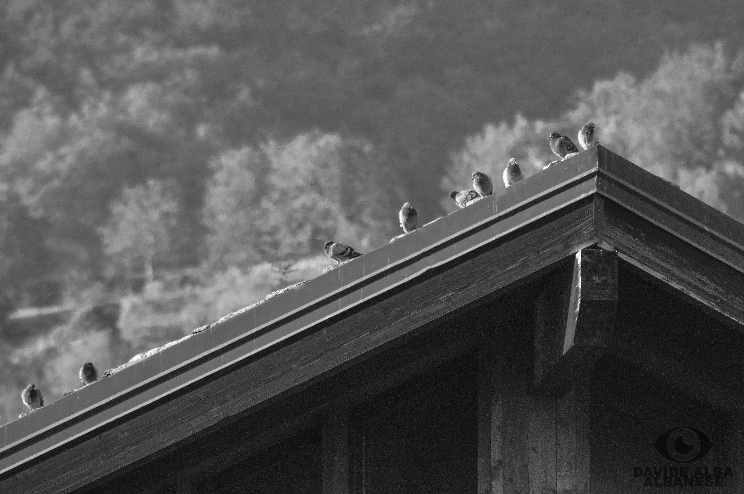 Pausa sul tetto di St Vincent