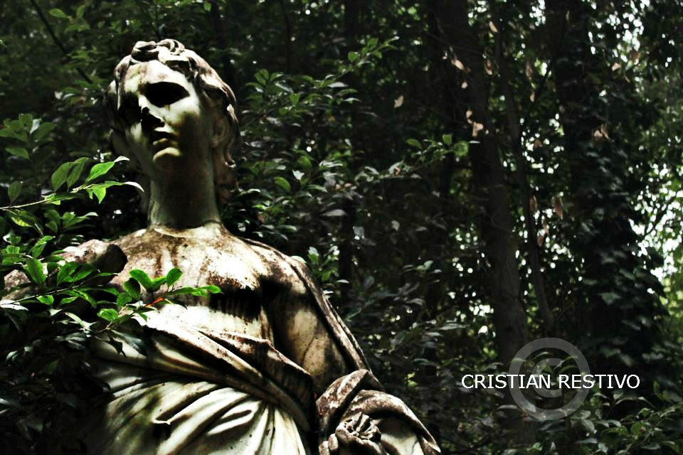 La statua impaurita.