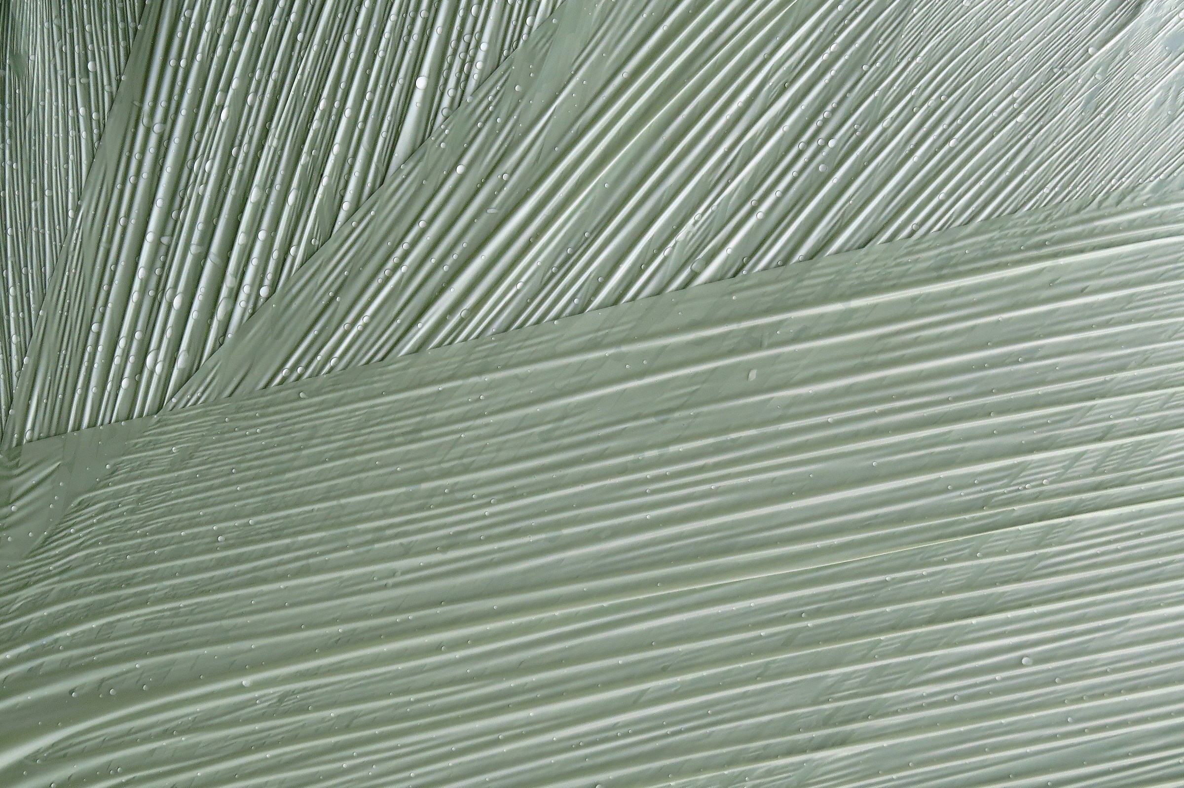 5015 - i sudari del fieno