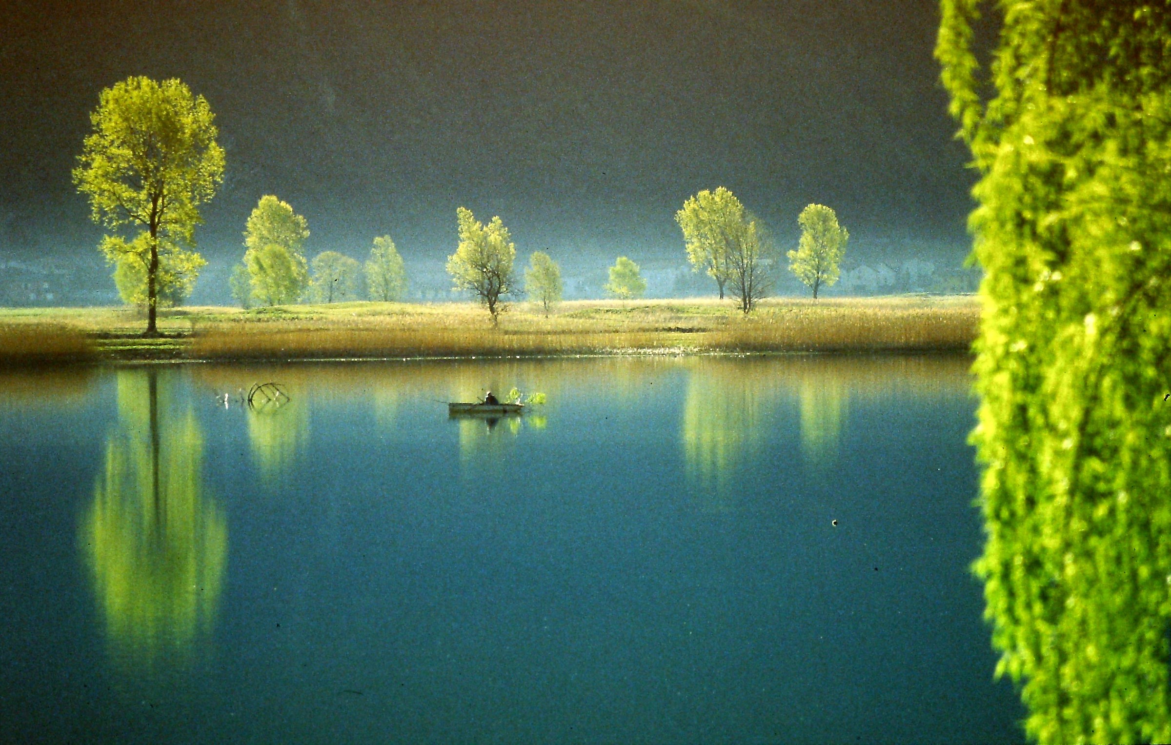 1220 - too manneristic, what do you think?