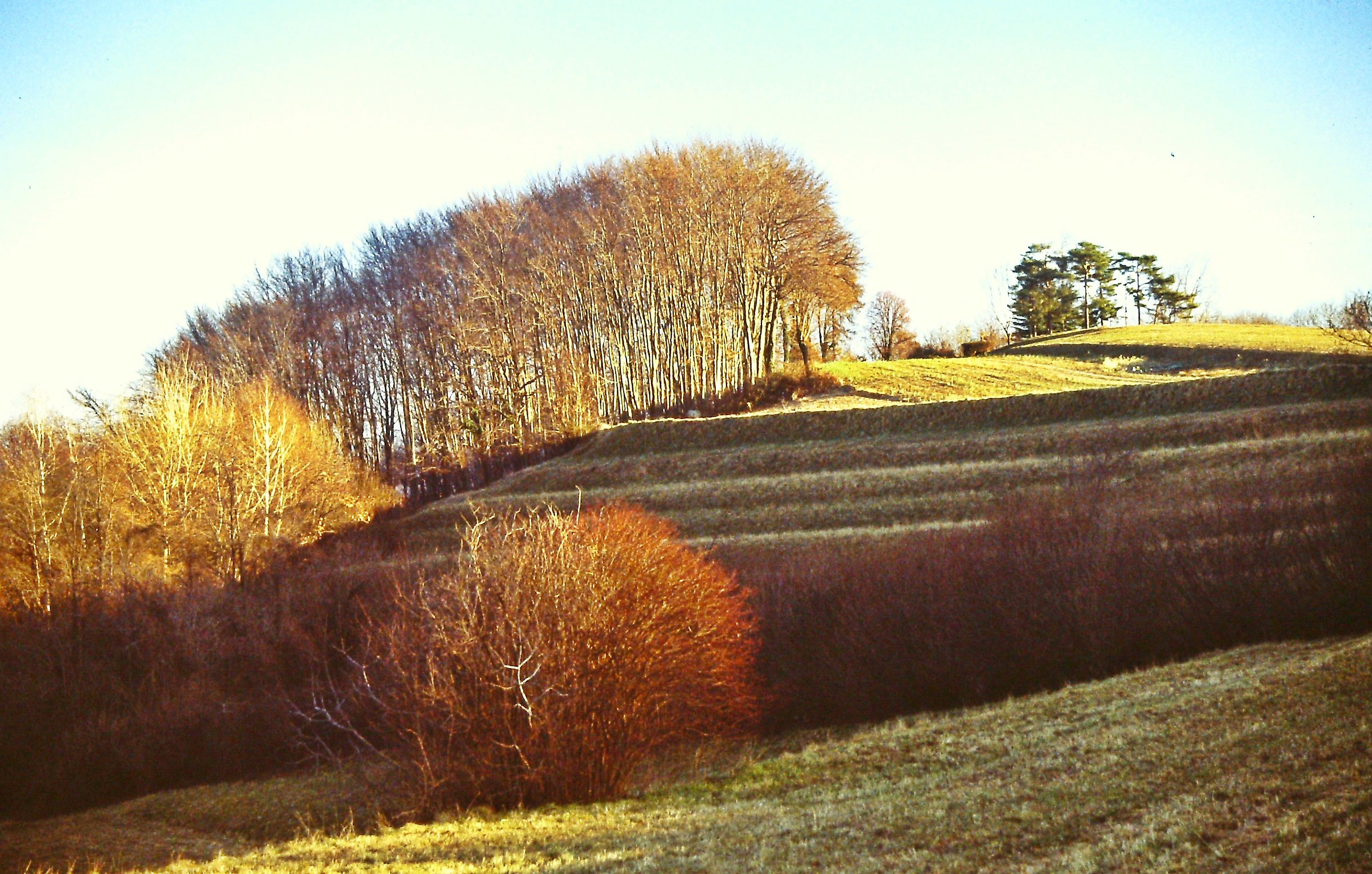 1232 - the last Brianza