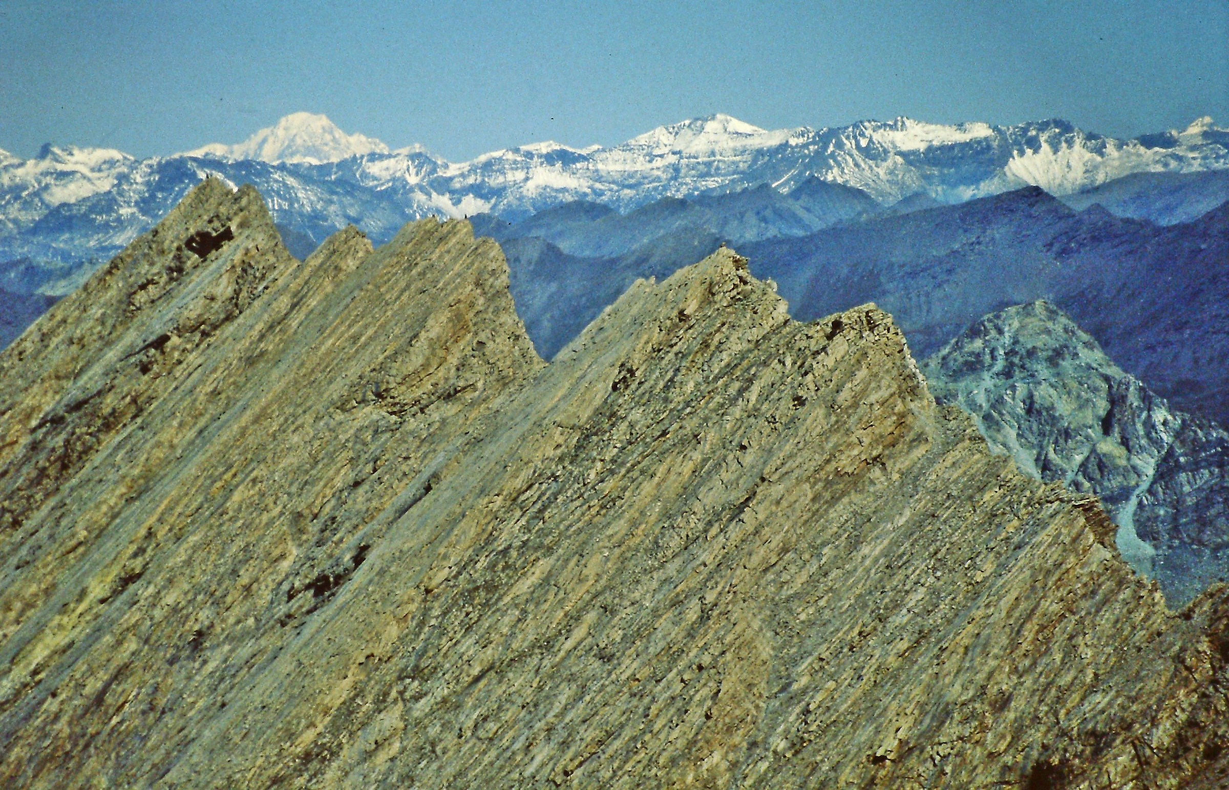 1246 - interrupted momentum