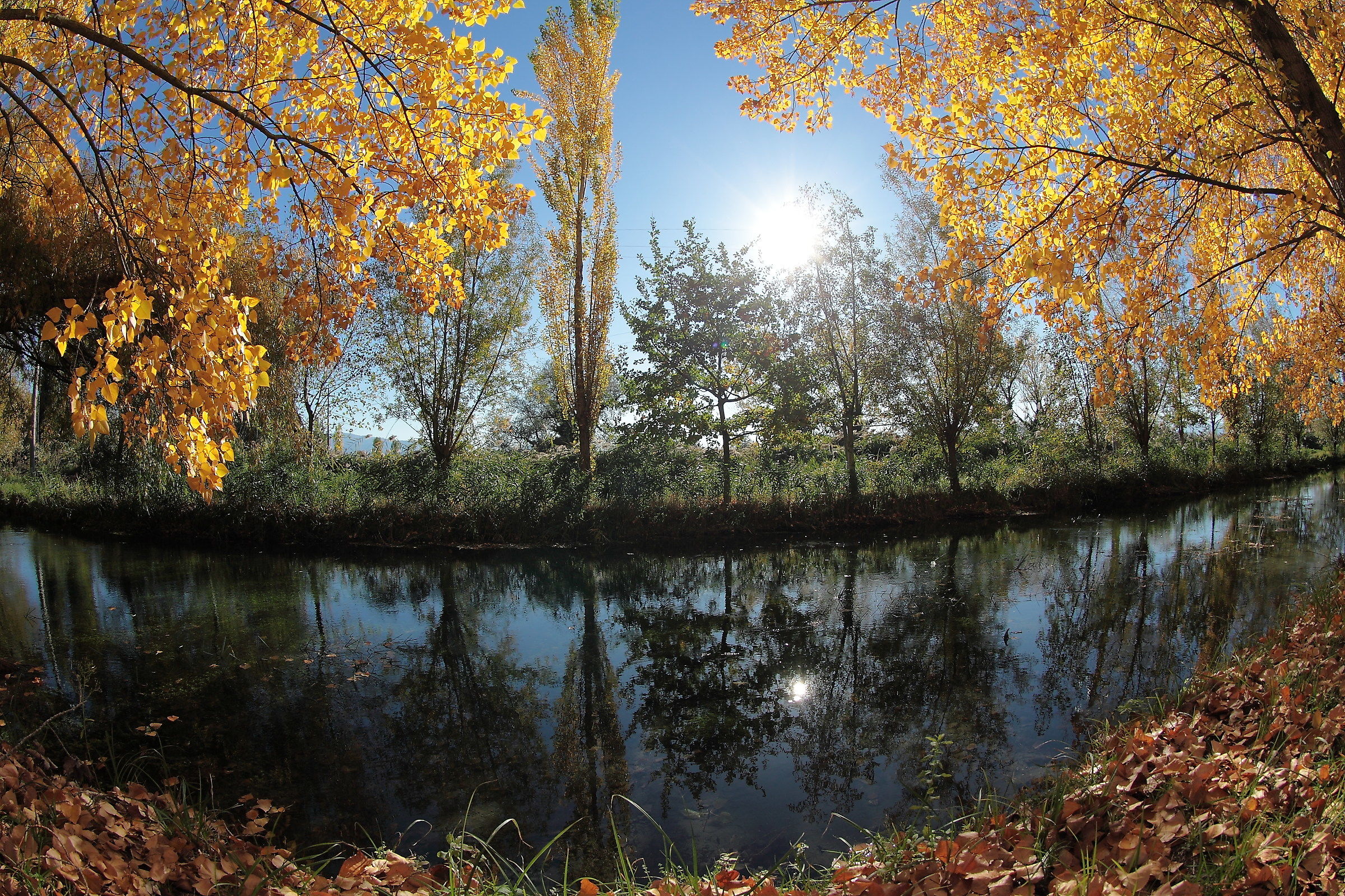 Una finestra autunnale
