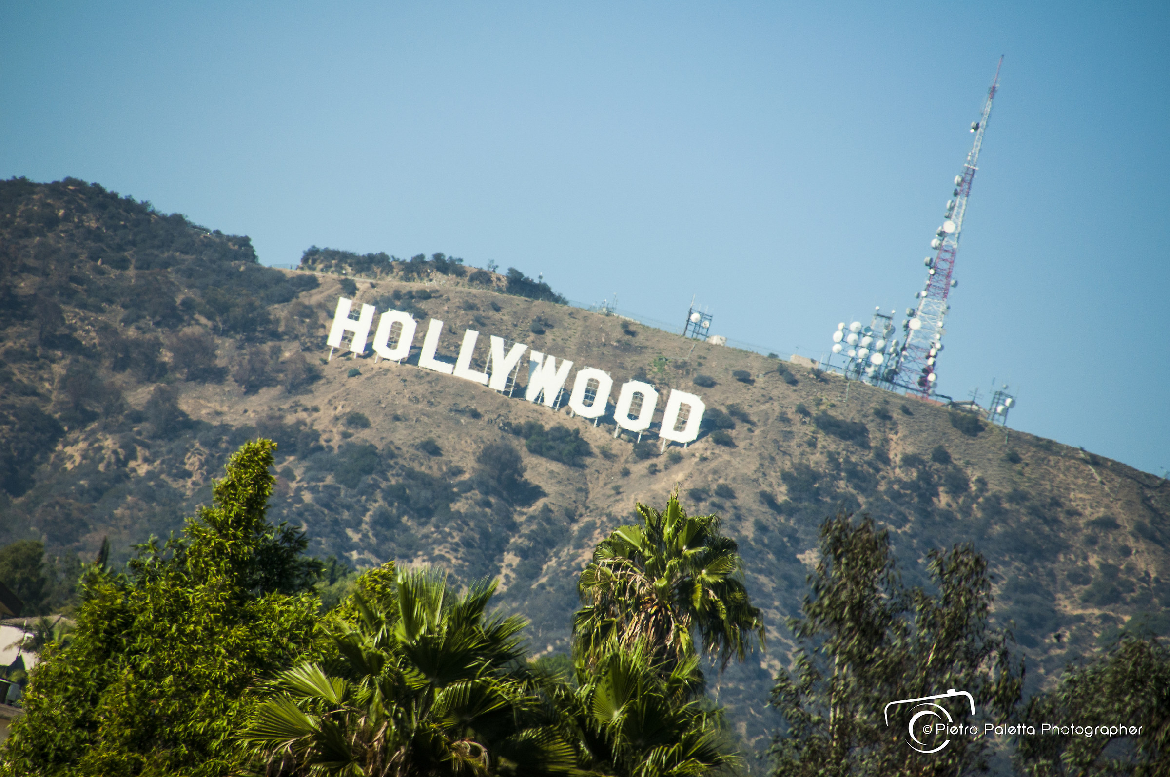 Hollywood