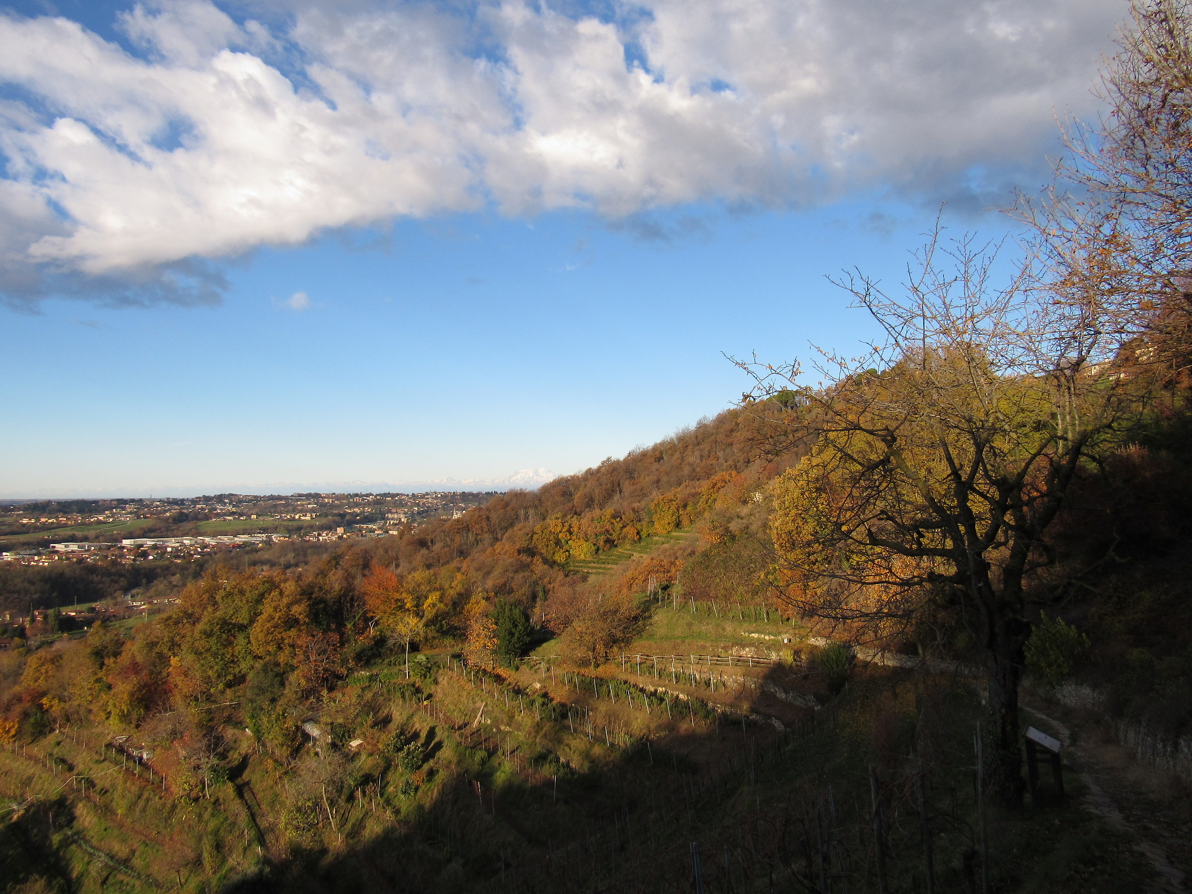 Terrazze...brianzole