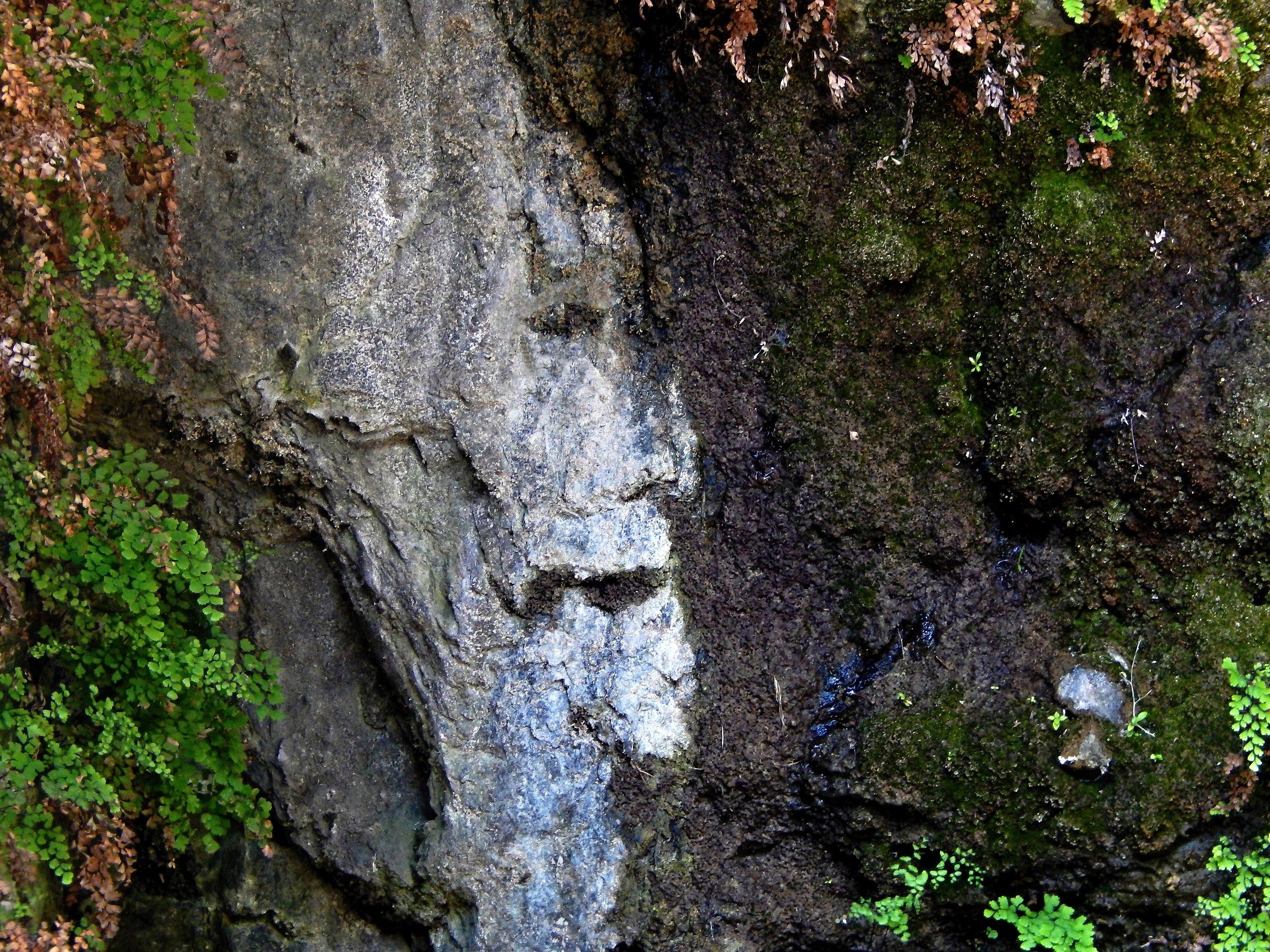 Umbre de muri _1 (Shadows of faces)