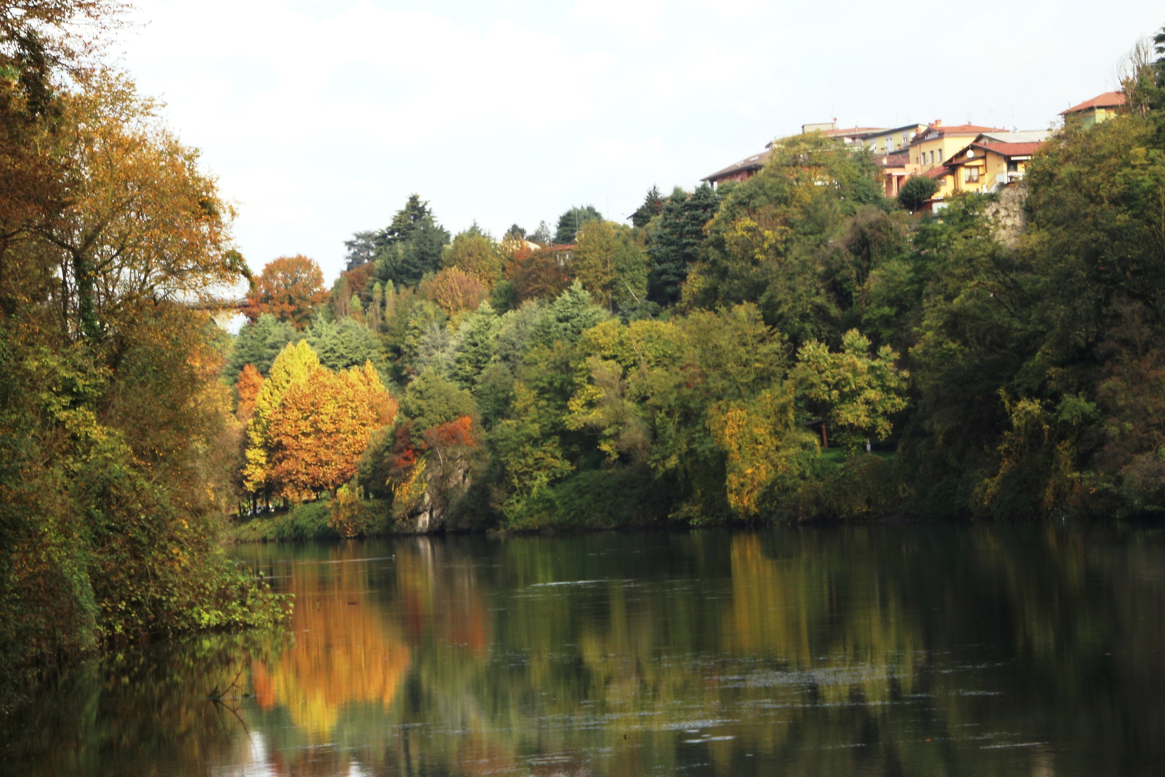 the bank of the adda in the fall