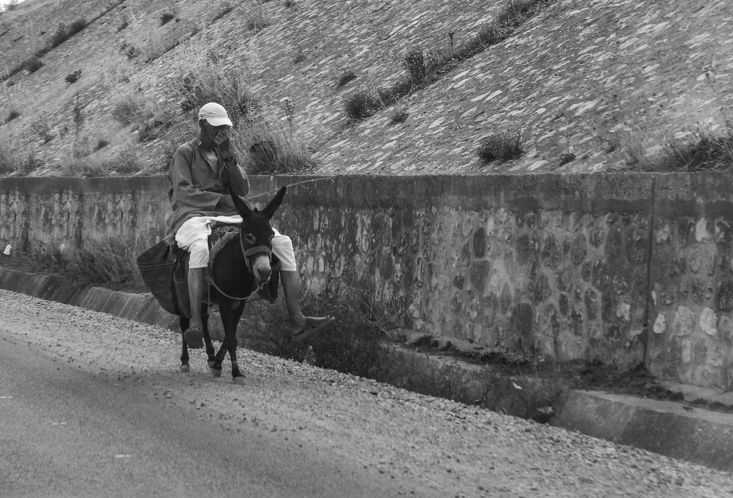 laden Donkey - Marocco