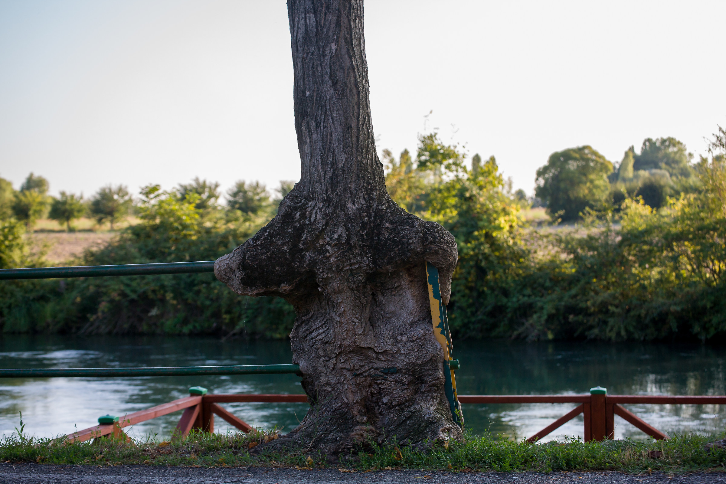 Il riposo del viandante