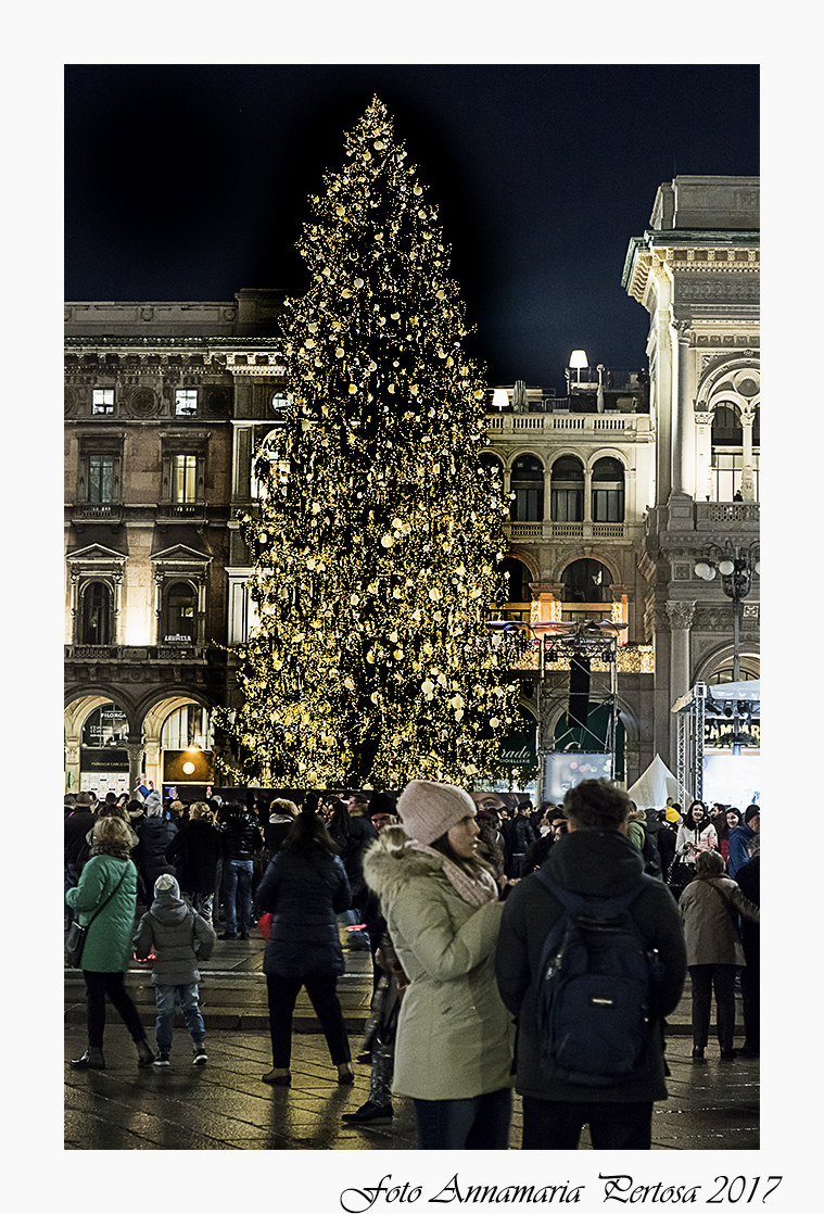Piazza Duomo accensione dell'albero di Natale
