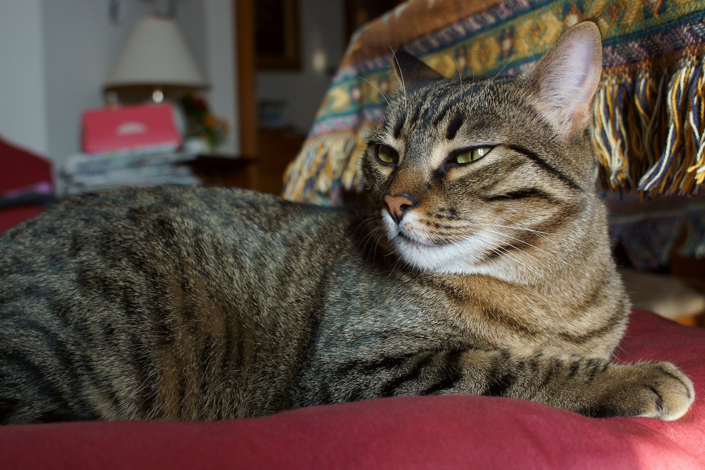 Minù a 24 Megapixel