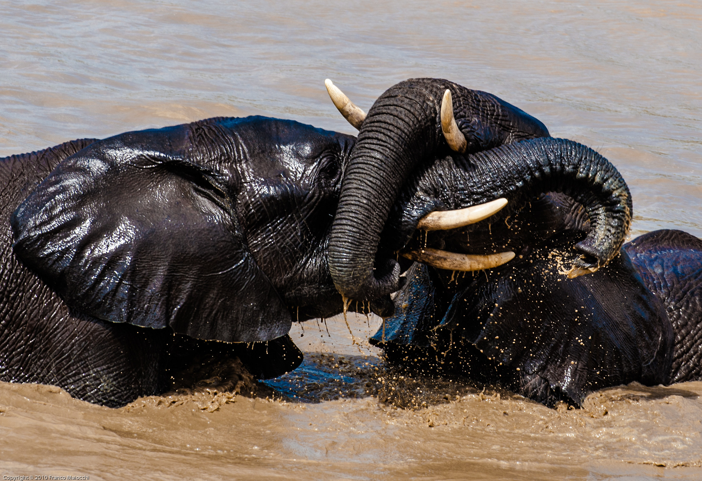 ... entertainment ...