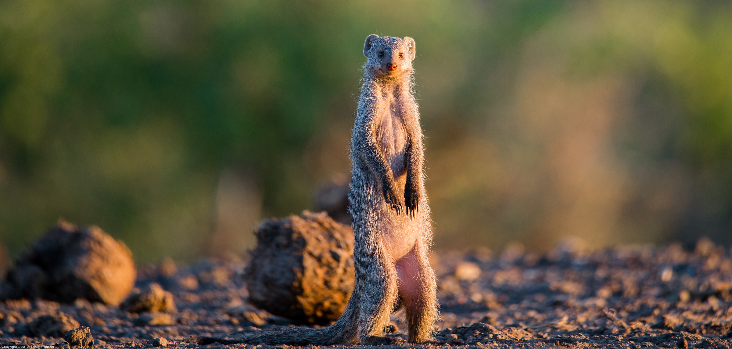 ..all I'm waiting ....