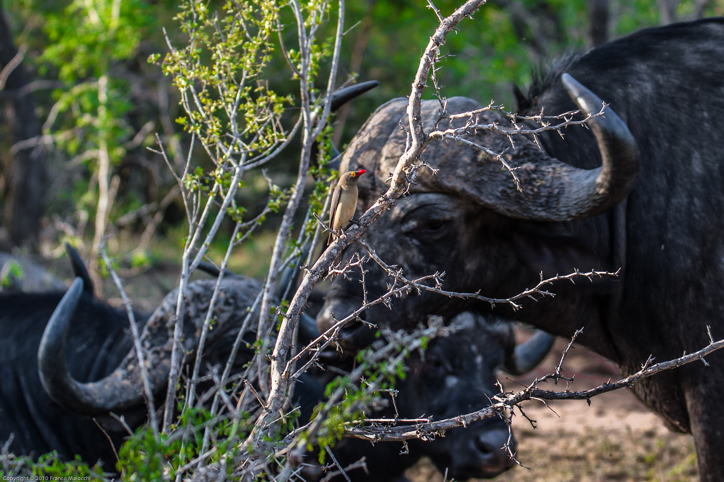 ... do you want war? ....