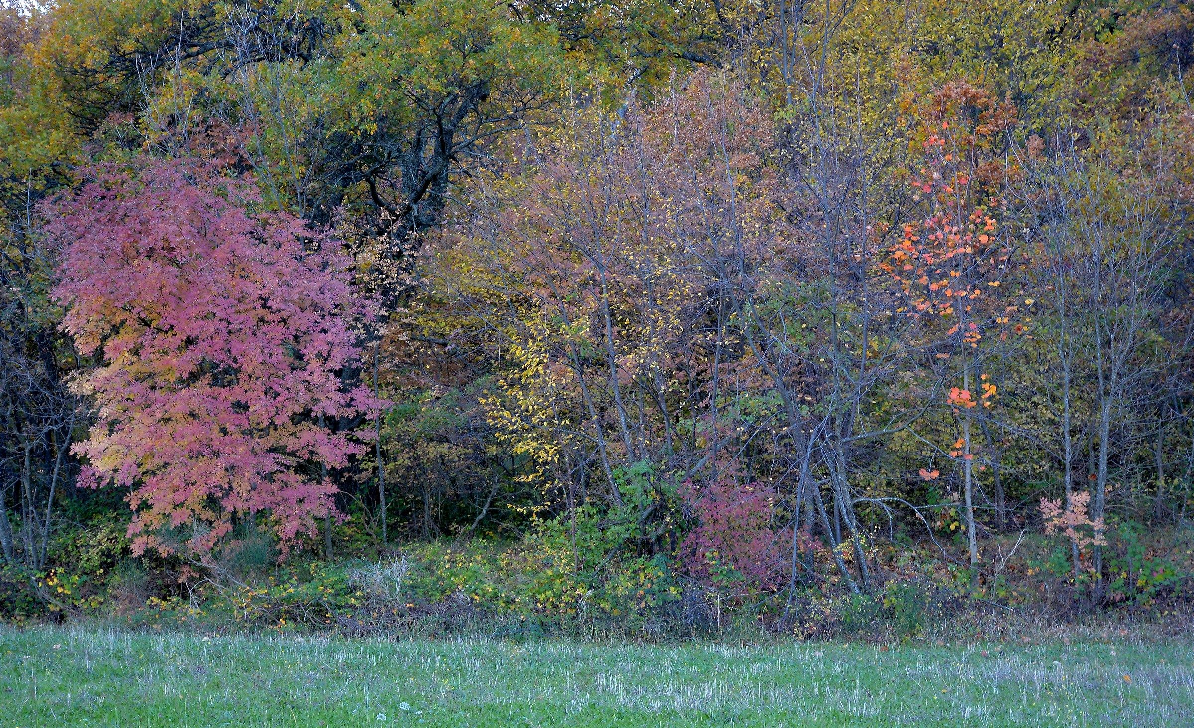 Il Ricco ed il Povero