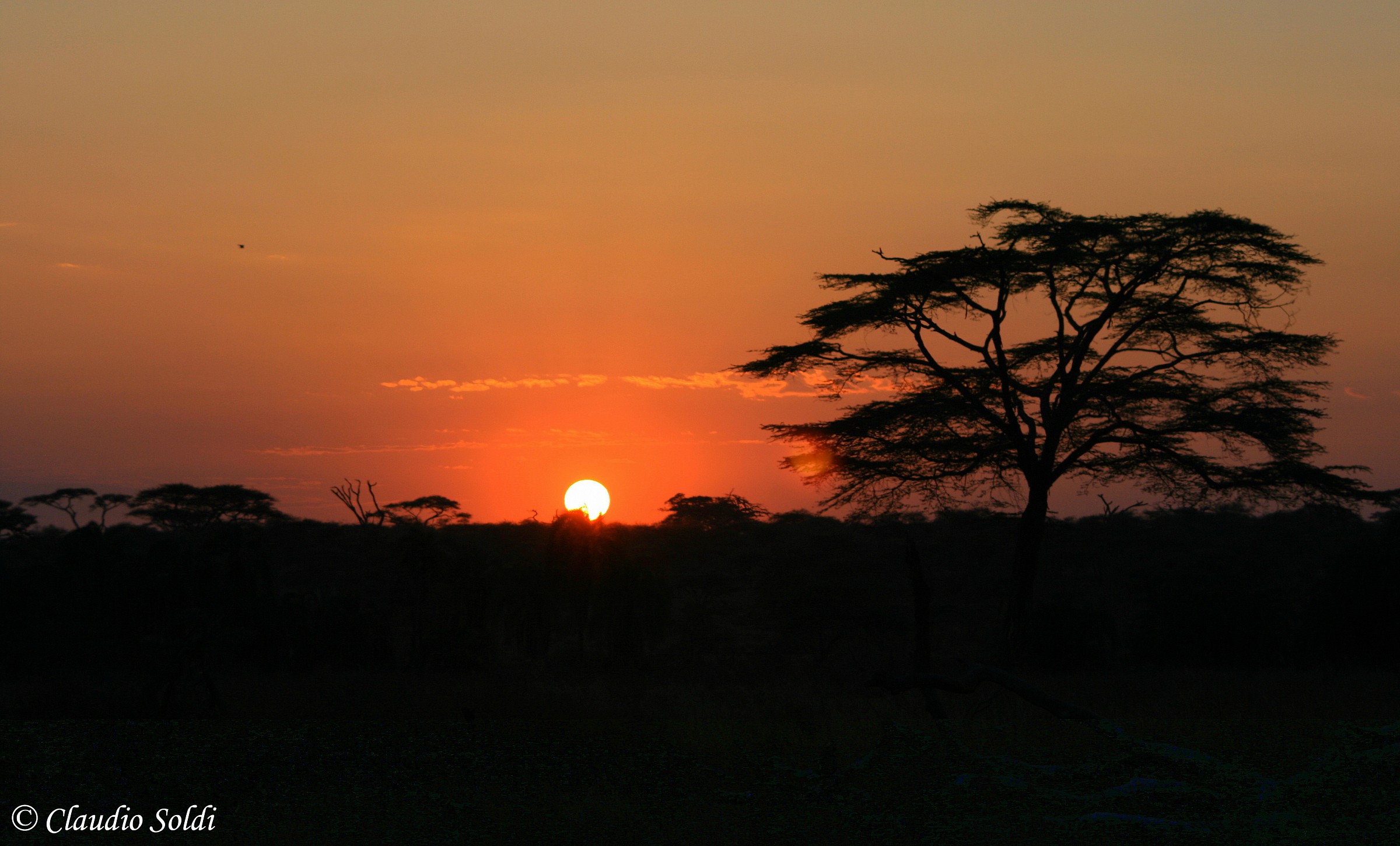 Tramonto africano - Serengeti
