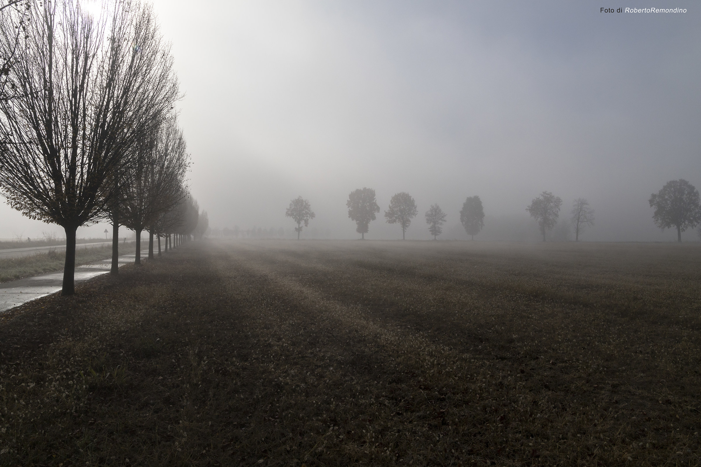 Nebbia