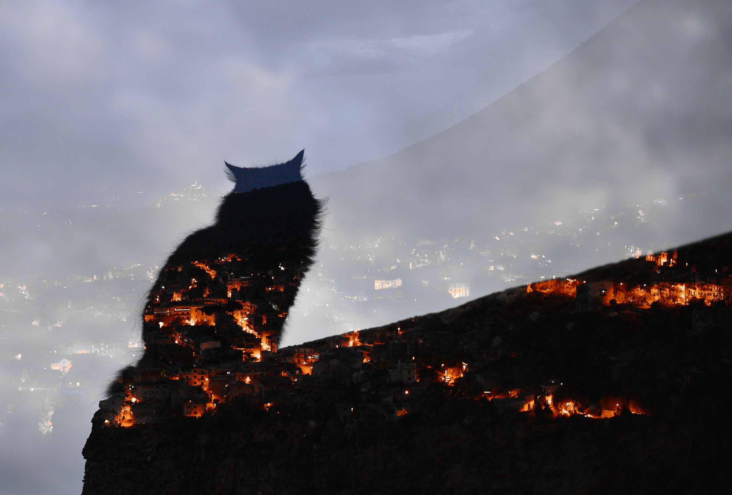 le chat de la ville 2