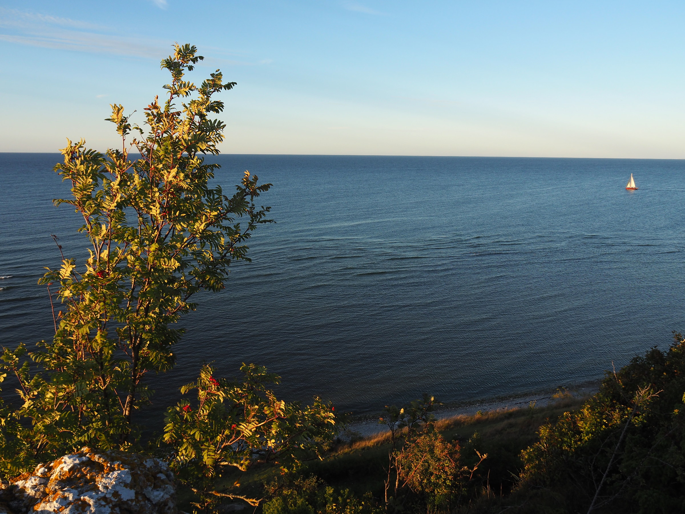 Sailing in quietness of late evening, Gotland Island