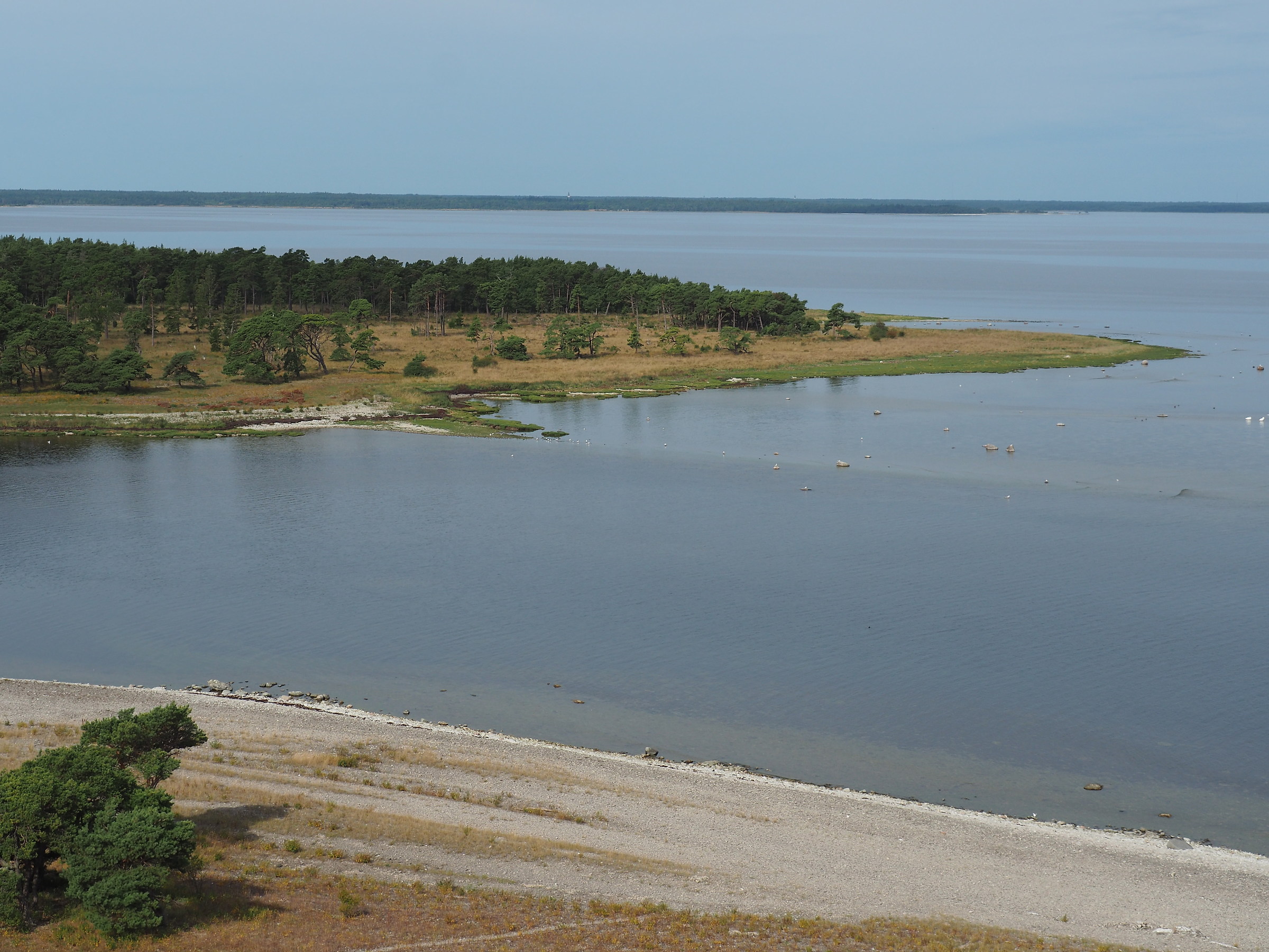 walking around natural reserves, Gotland.