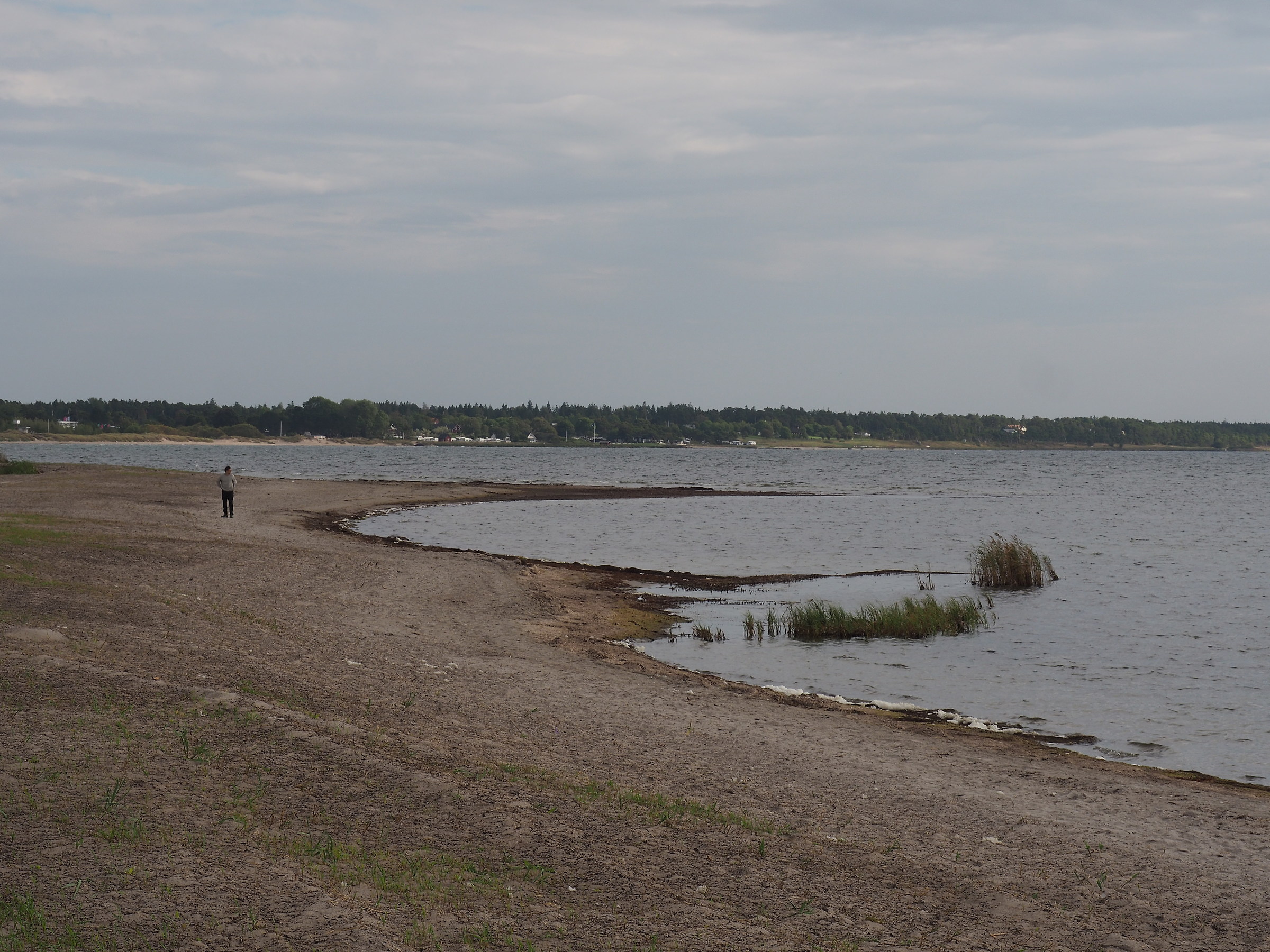 lonely walk on a beach