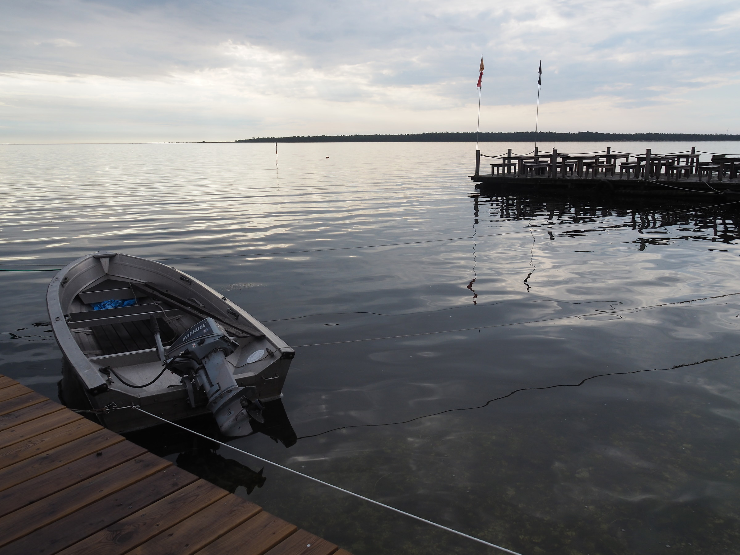 loneliness of an evening walk