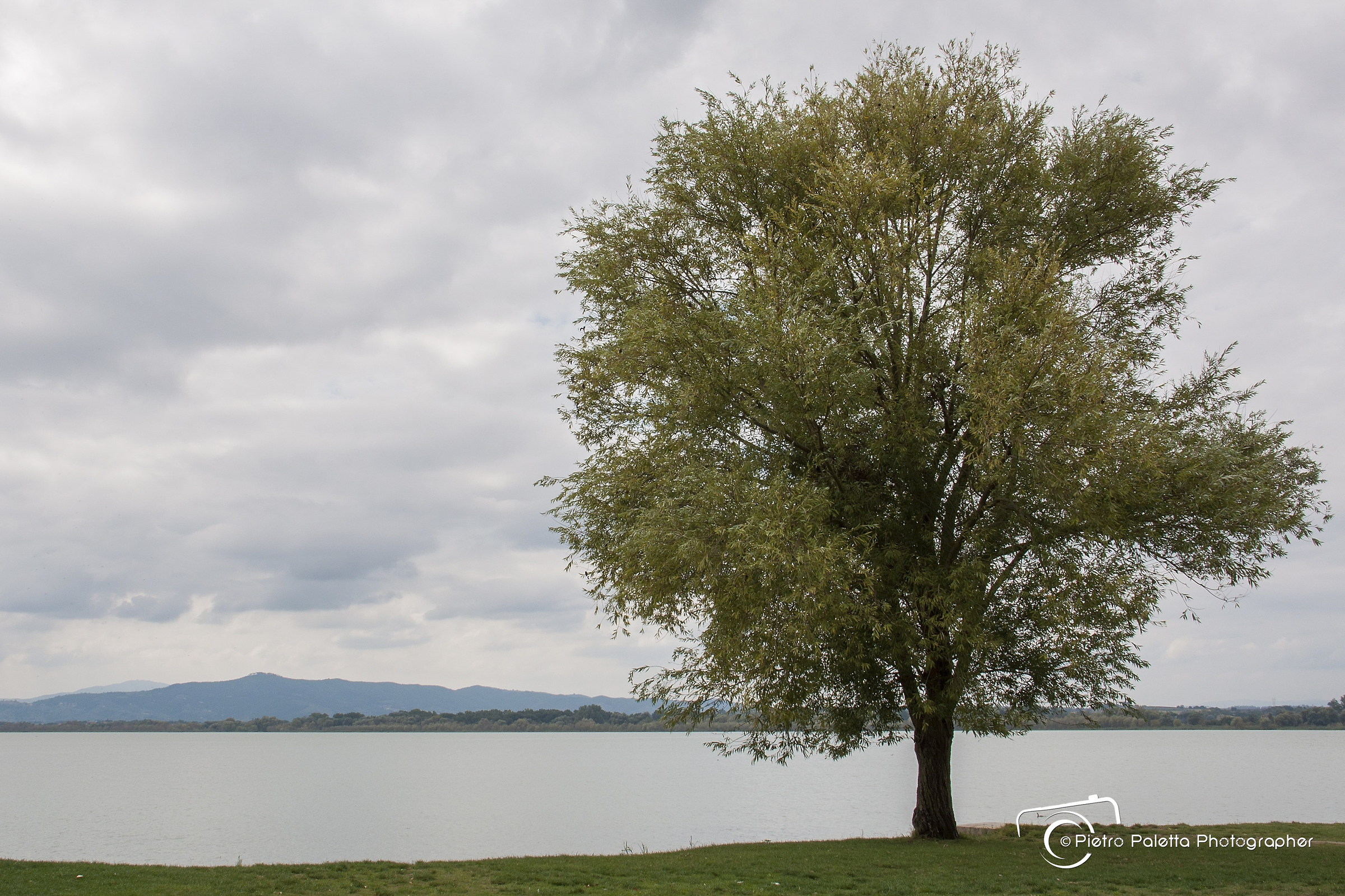 Castiglione Del Lago