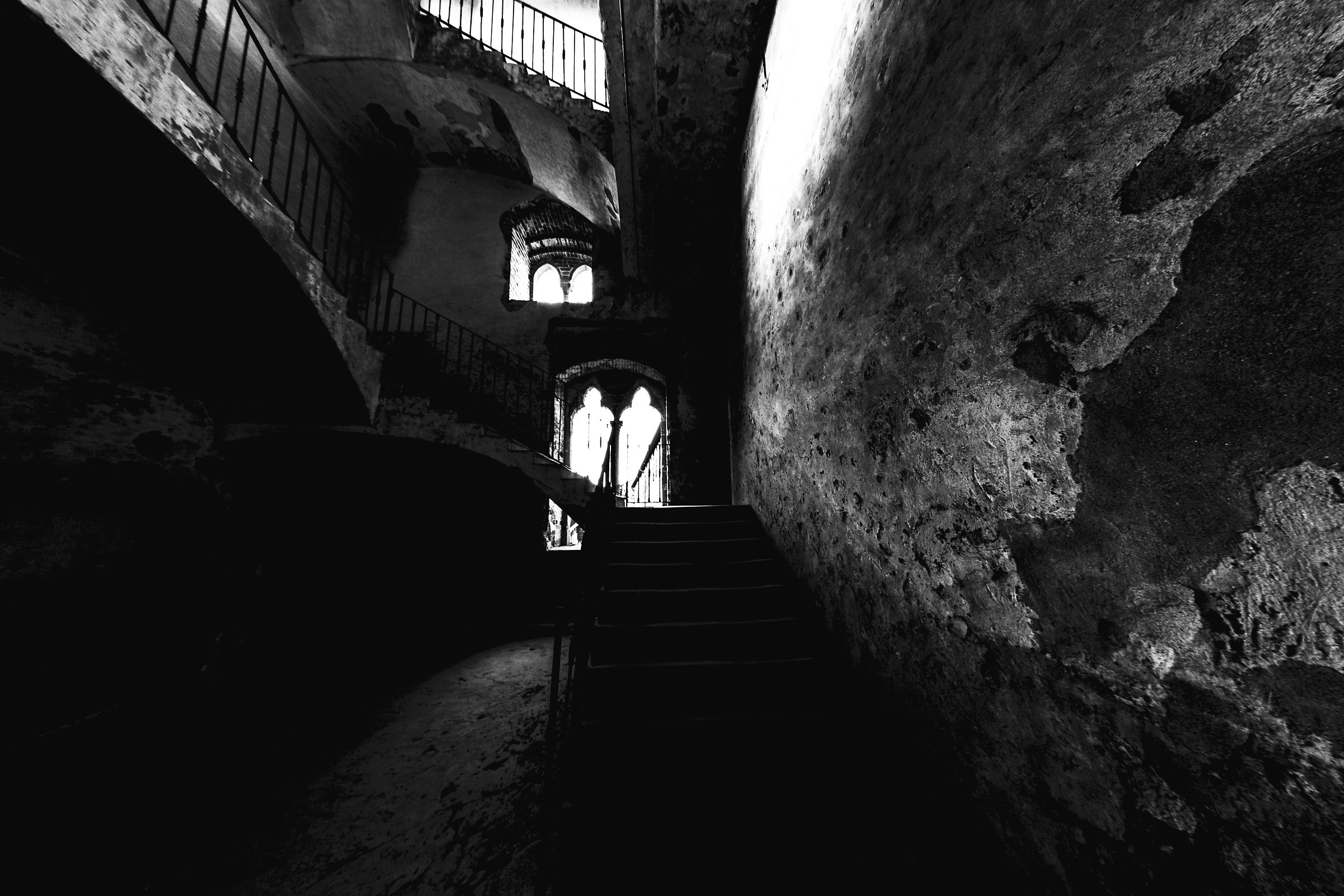 The name of the rose 2