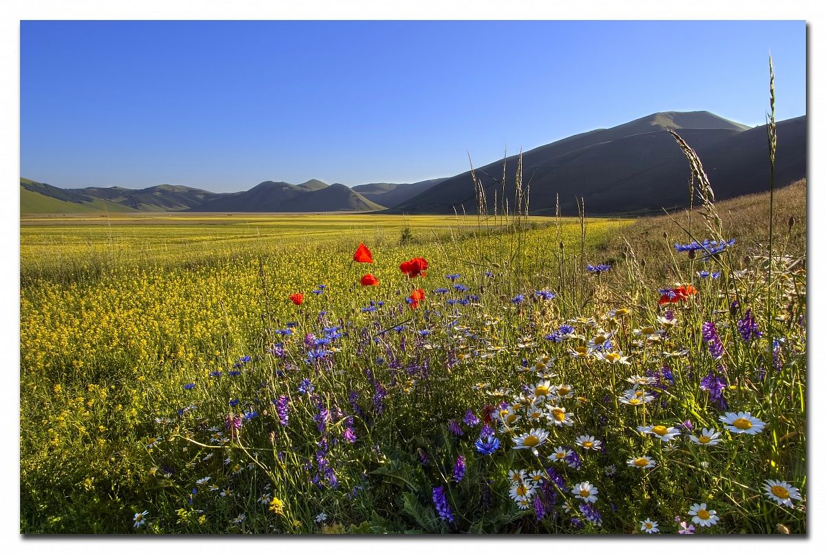 I colori di Castelluccio