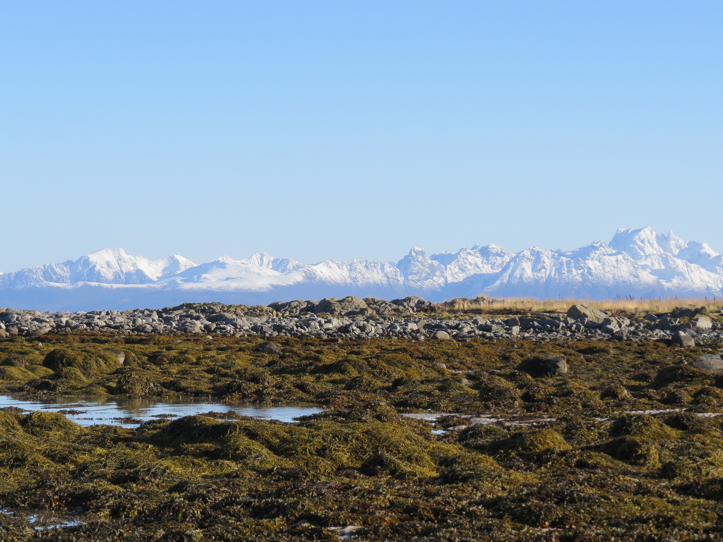 Wandering north side of Austvagoy, Lofoten 2015