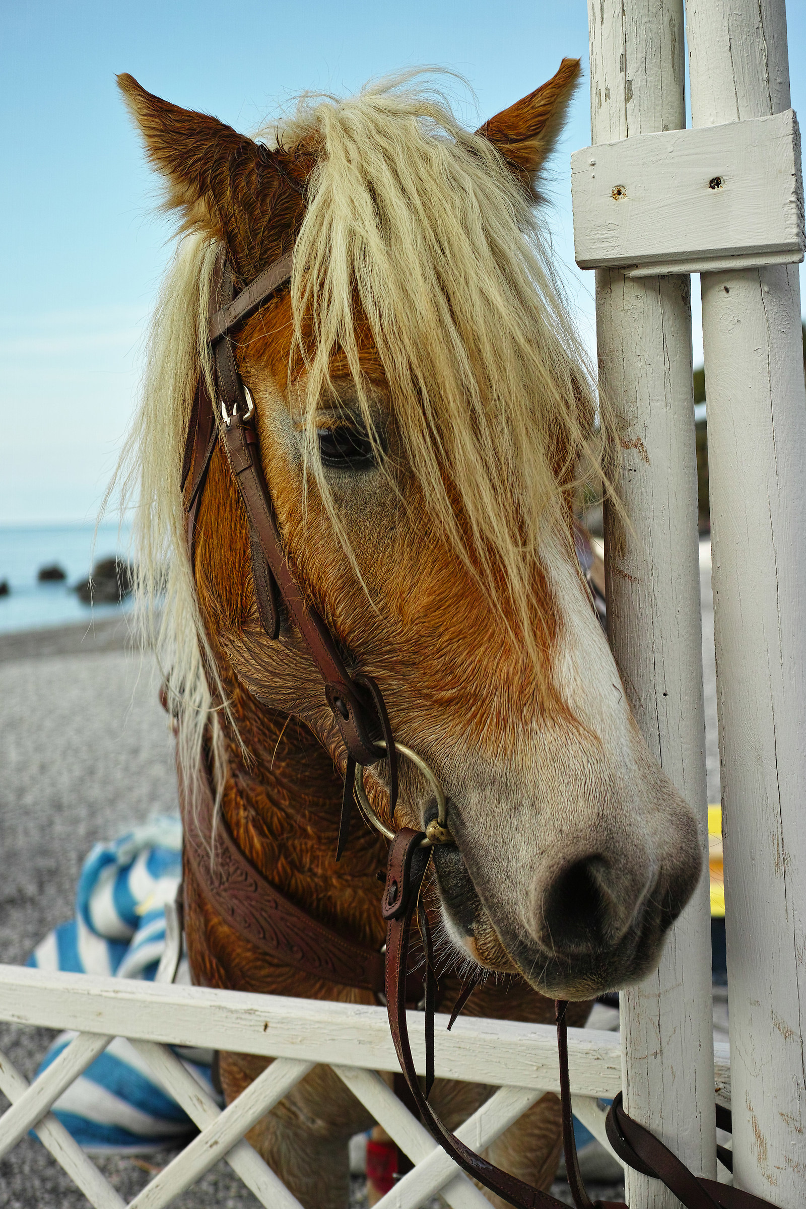 Parcheggio in spiaggia....