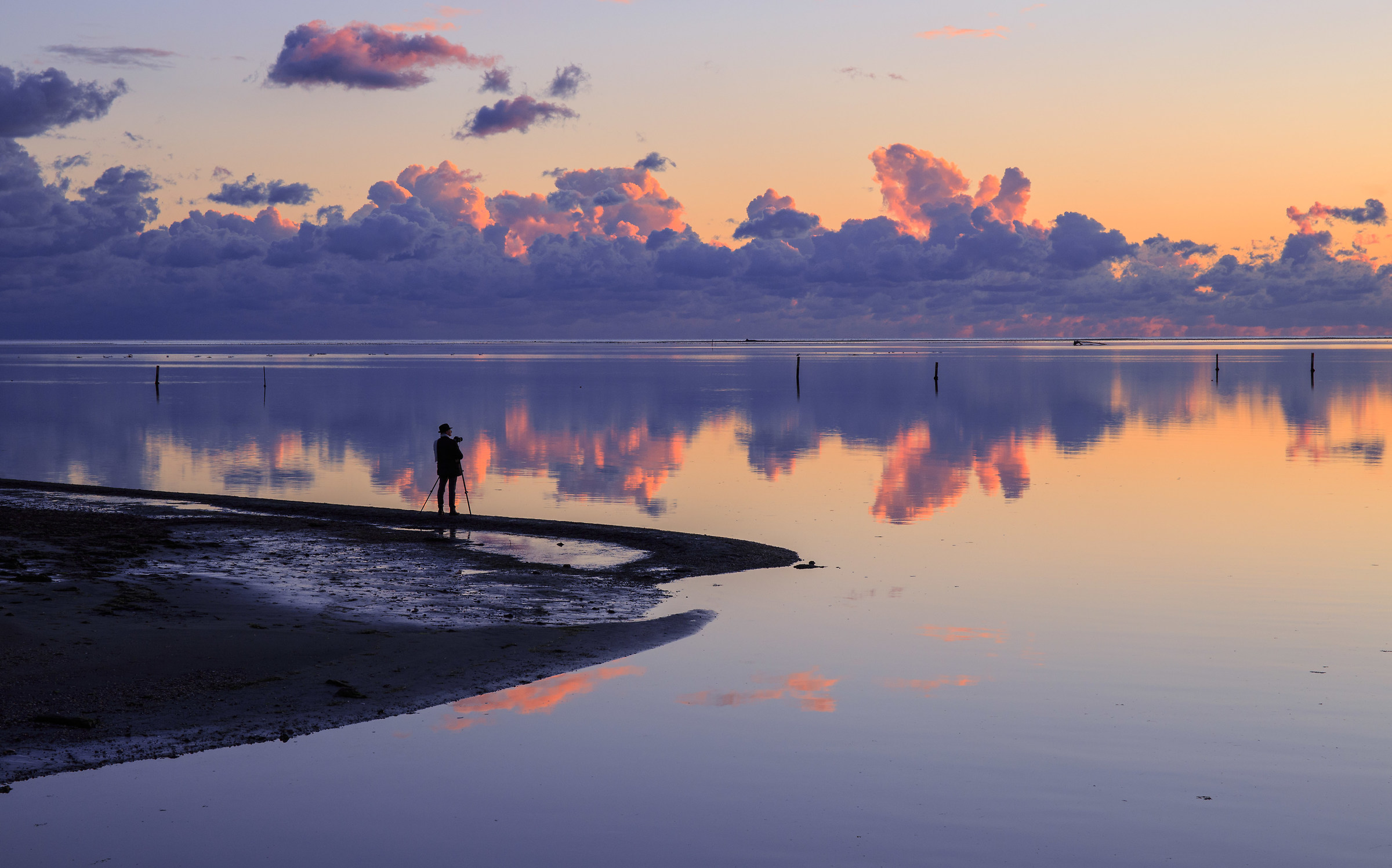 the solitary photographer