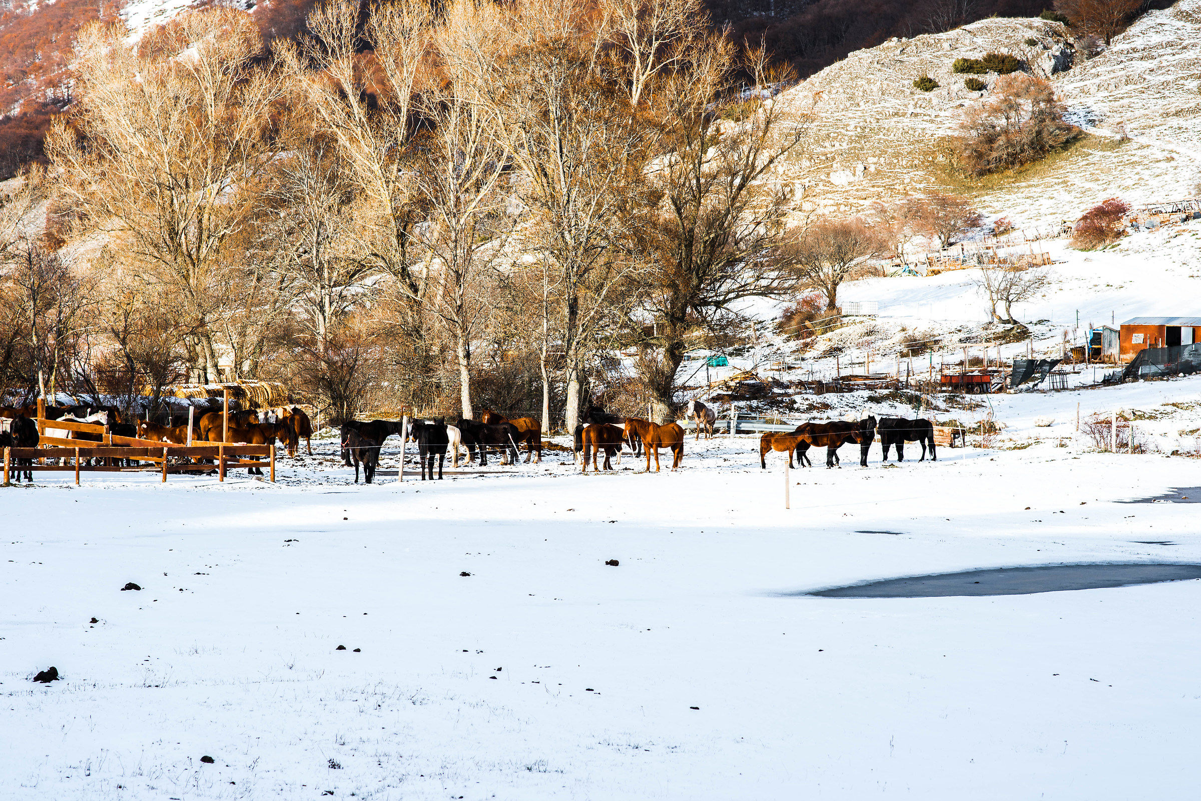 Ovindoli prima neve 5