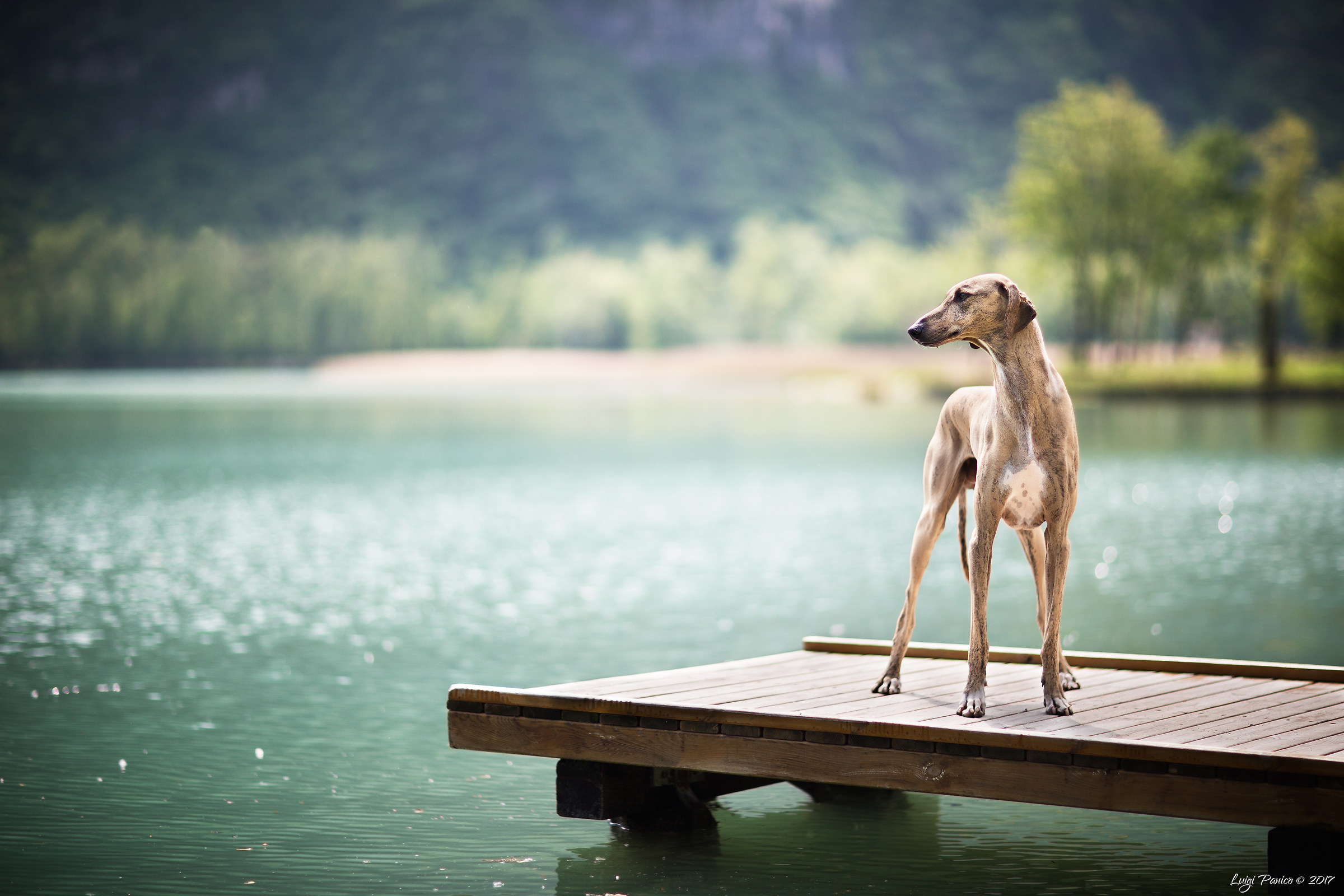 At the lake with Nadir