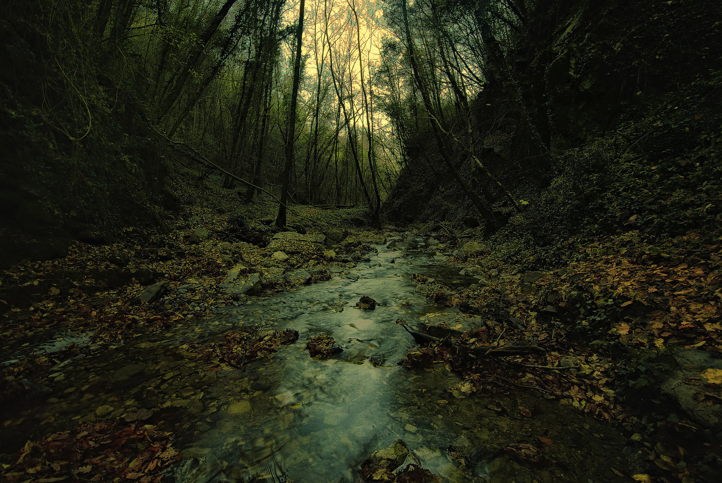 Passeggiata invernale lungo un sentiero d'acqua